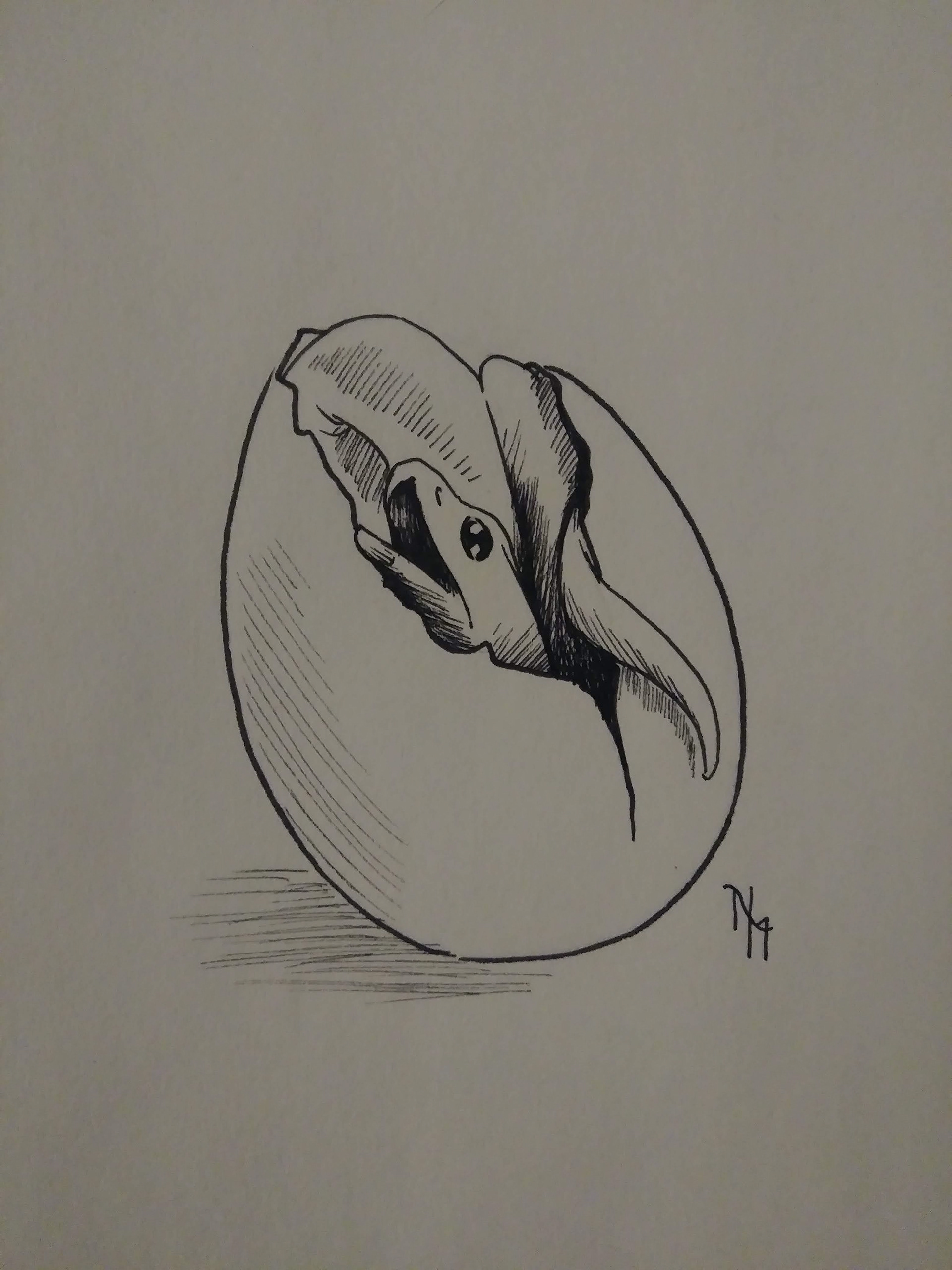 Snake Hatching - Inktober - Ink on paper