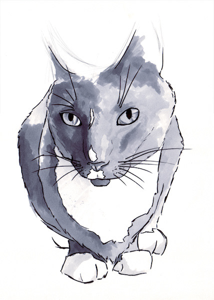 Mew - Ink and Marker on paper