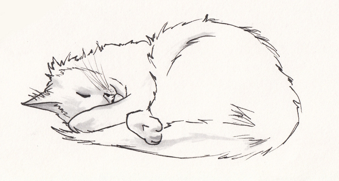 Sleeping Kitteh - Ink and Marker on paper