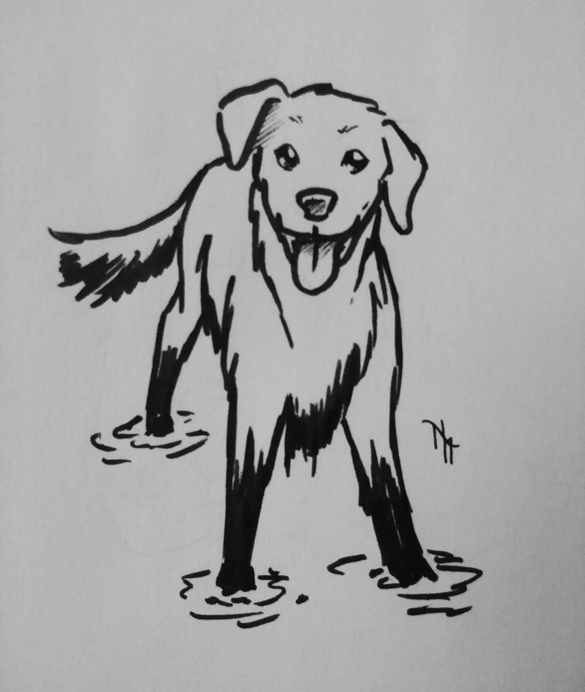 Muddy - Inkober - Ink on paper