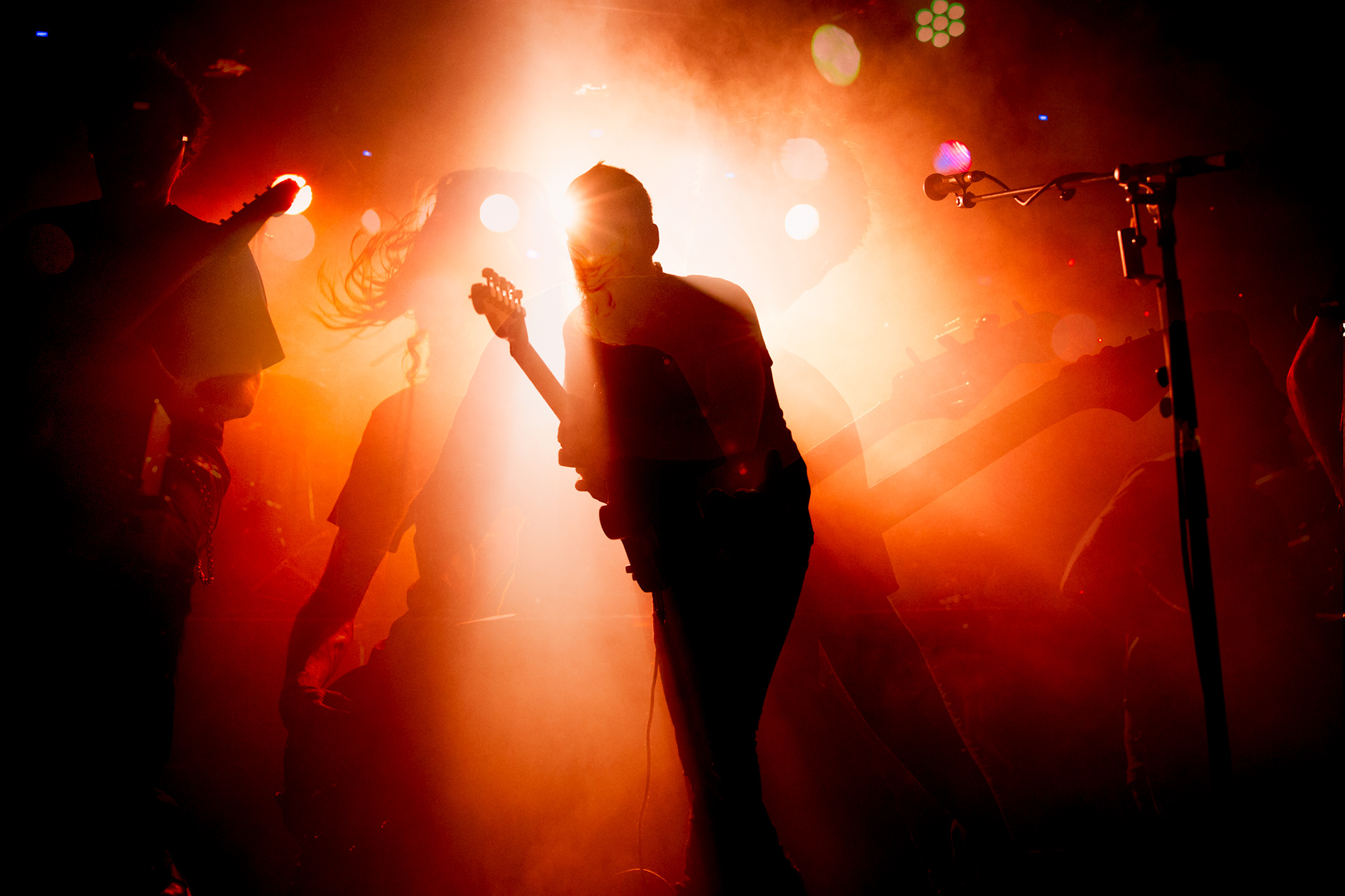 Black Widow's Project - 2018