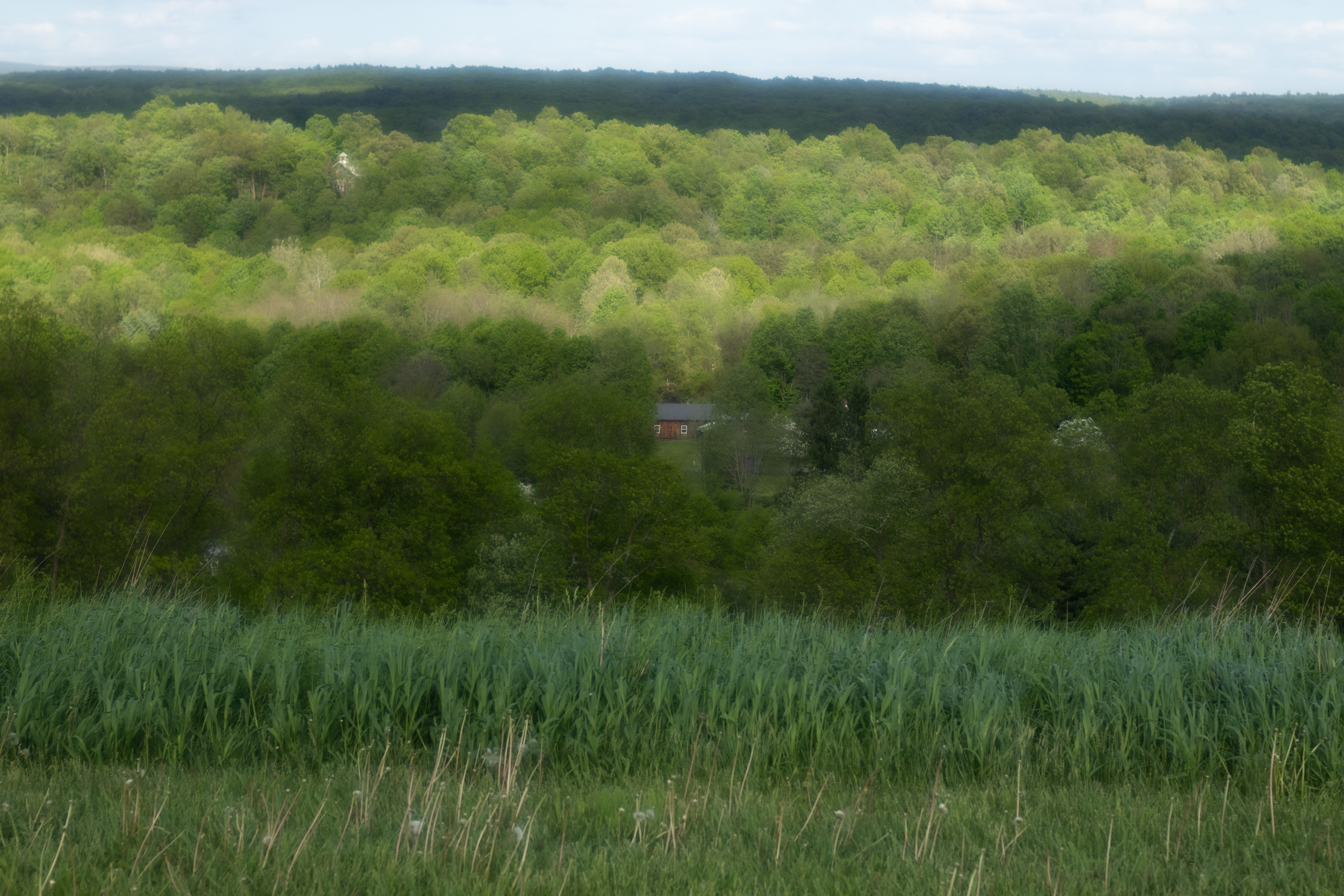 Burger Hill, May 2022