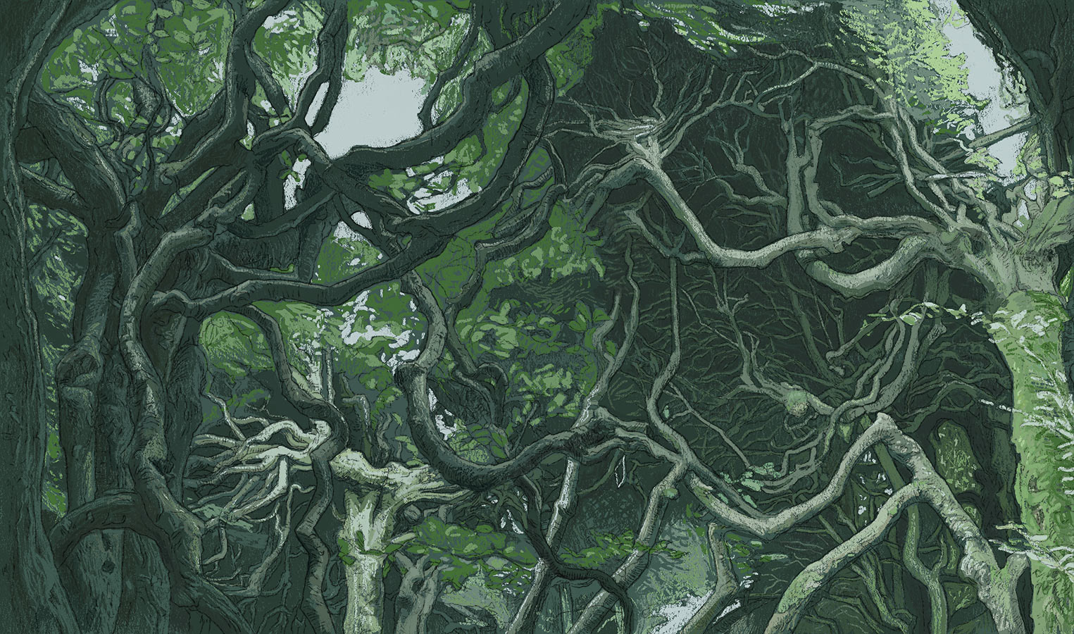 The Gallery of Characters Background Forest