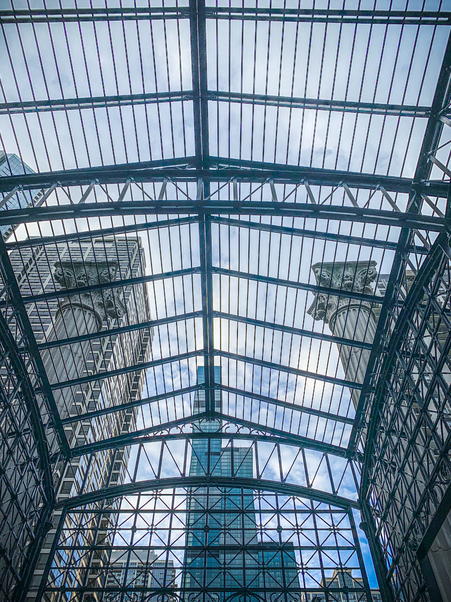 City Cages of Chicago Mesh and Sage