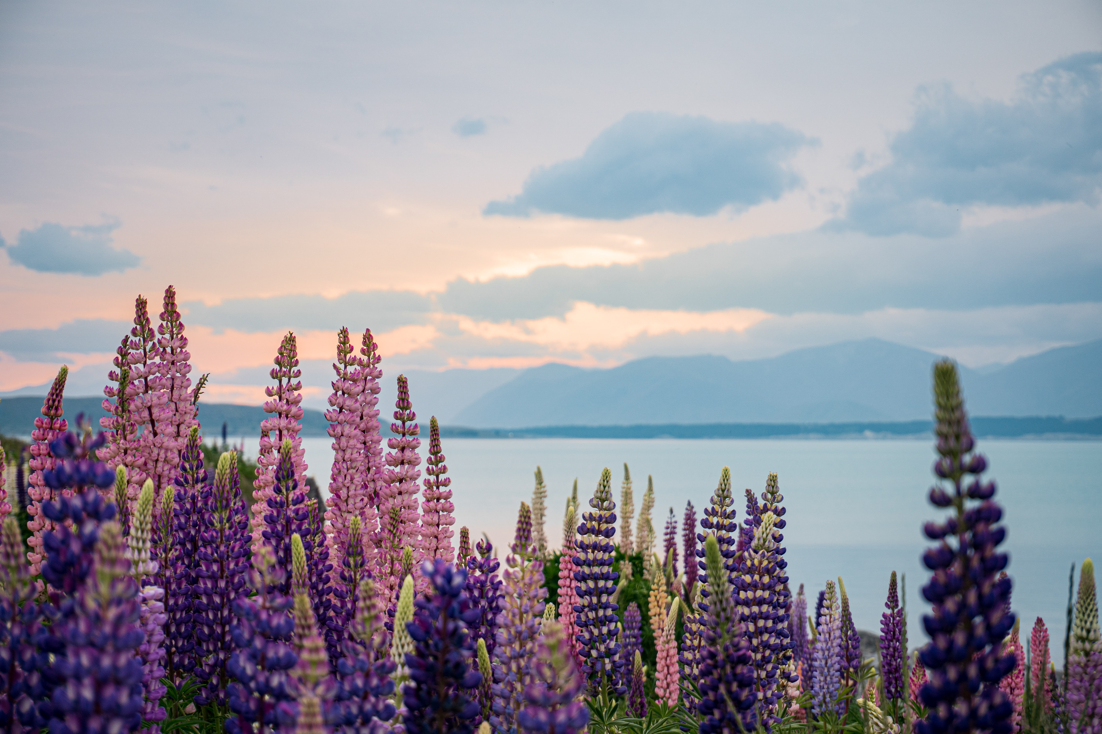 Lake Pukaki