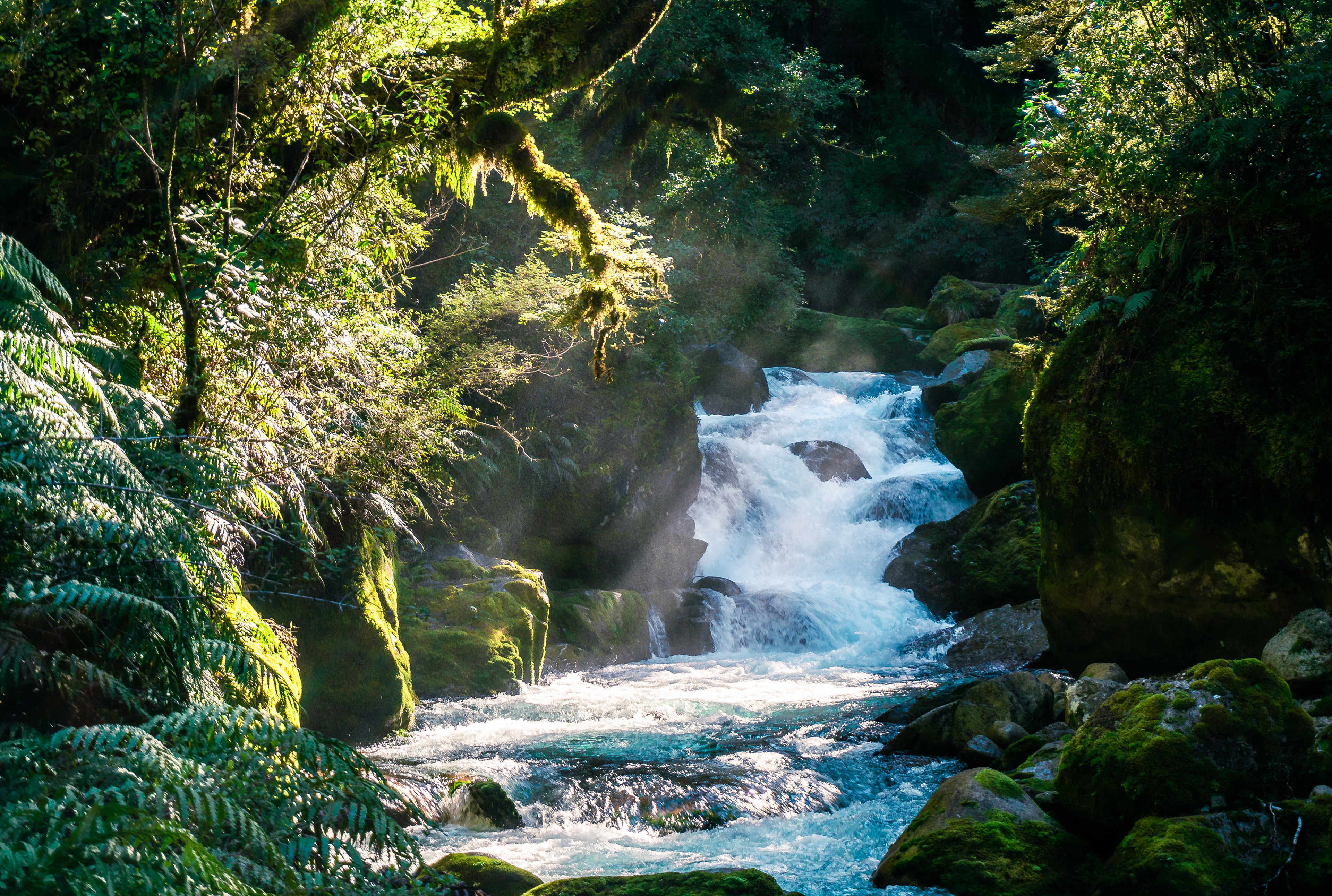Marian Creek, Lake Marian Track, Fiordland