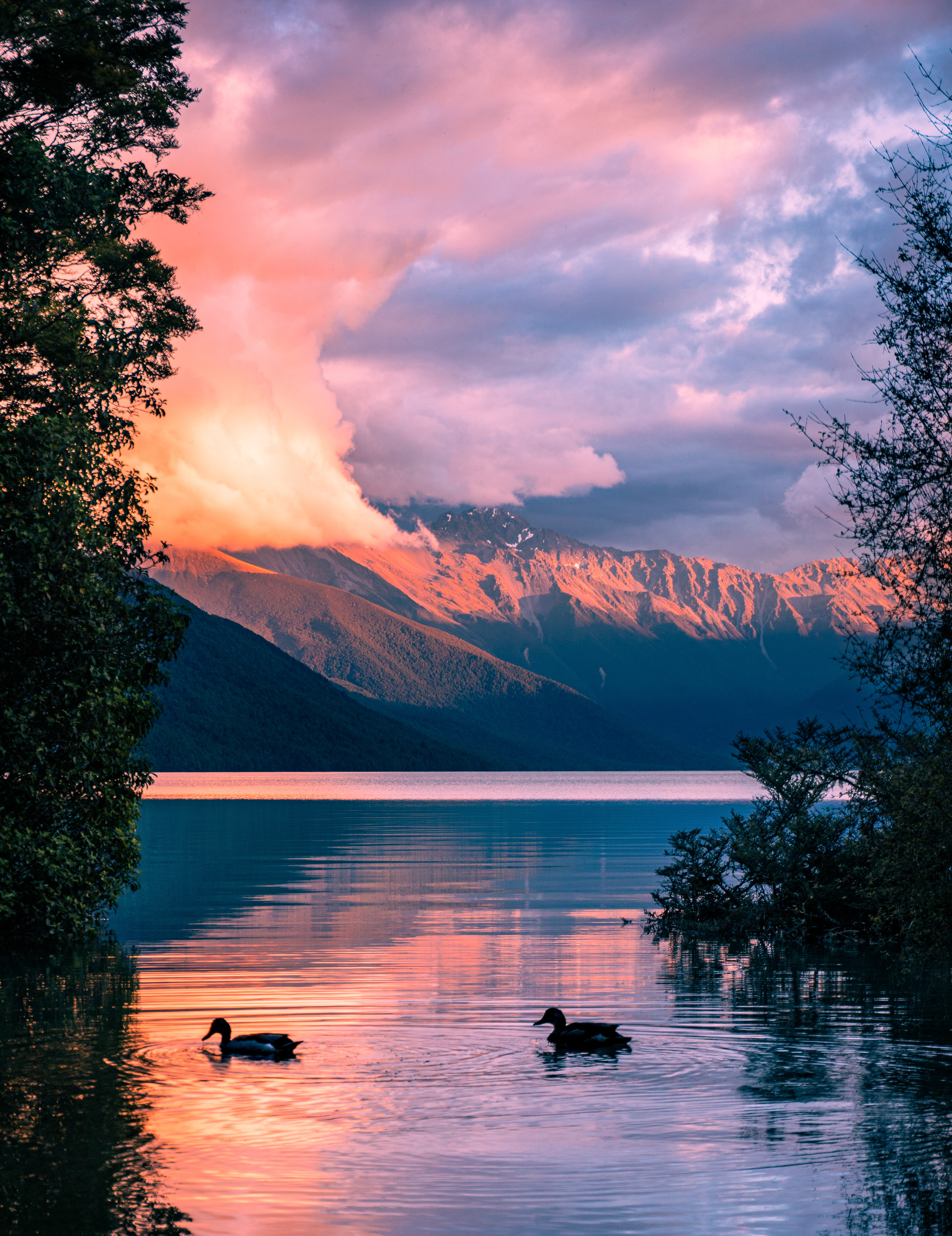 Lake Rotoroa, Nelson Lakes NP