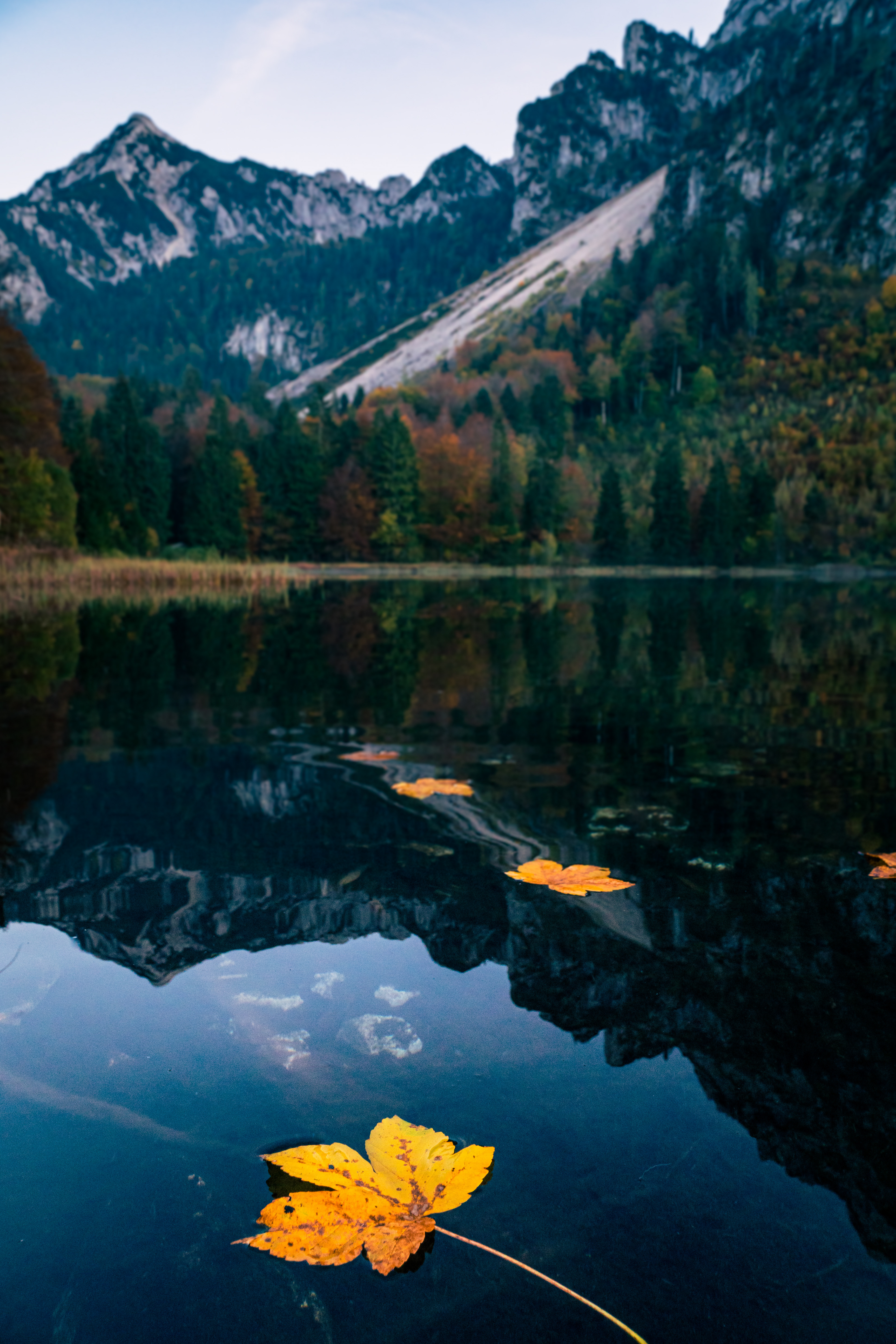 Lake Frillensee, Inzell