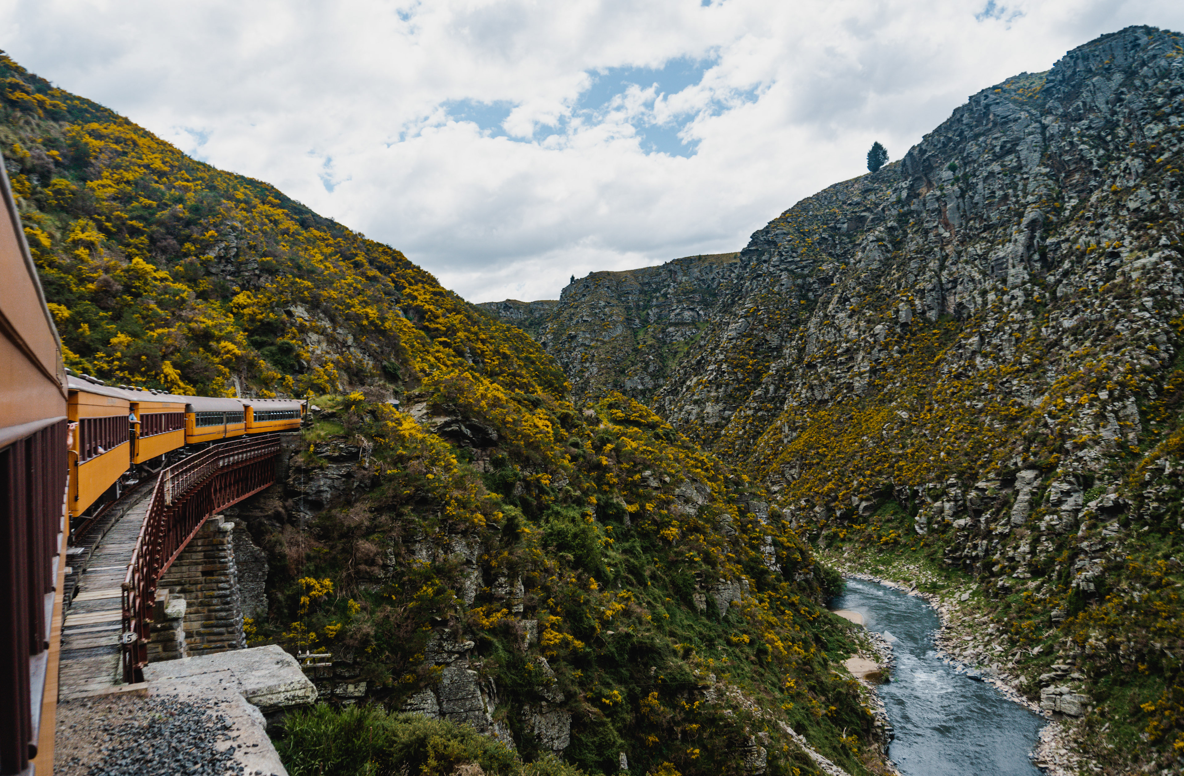Taieri Gorge Railway, Dunedin