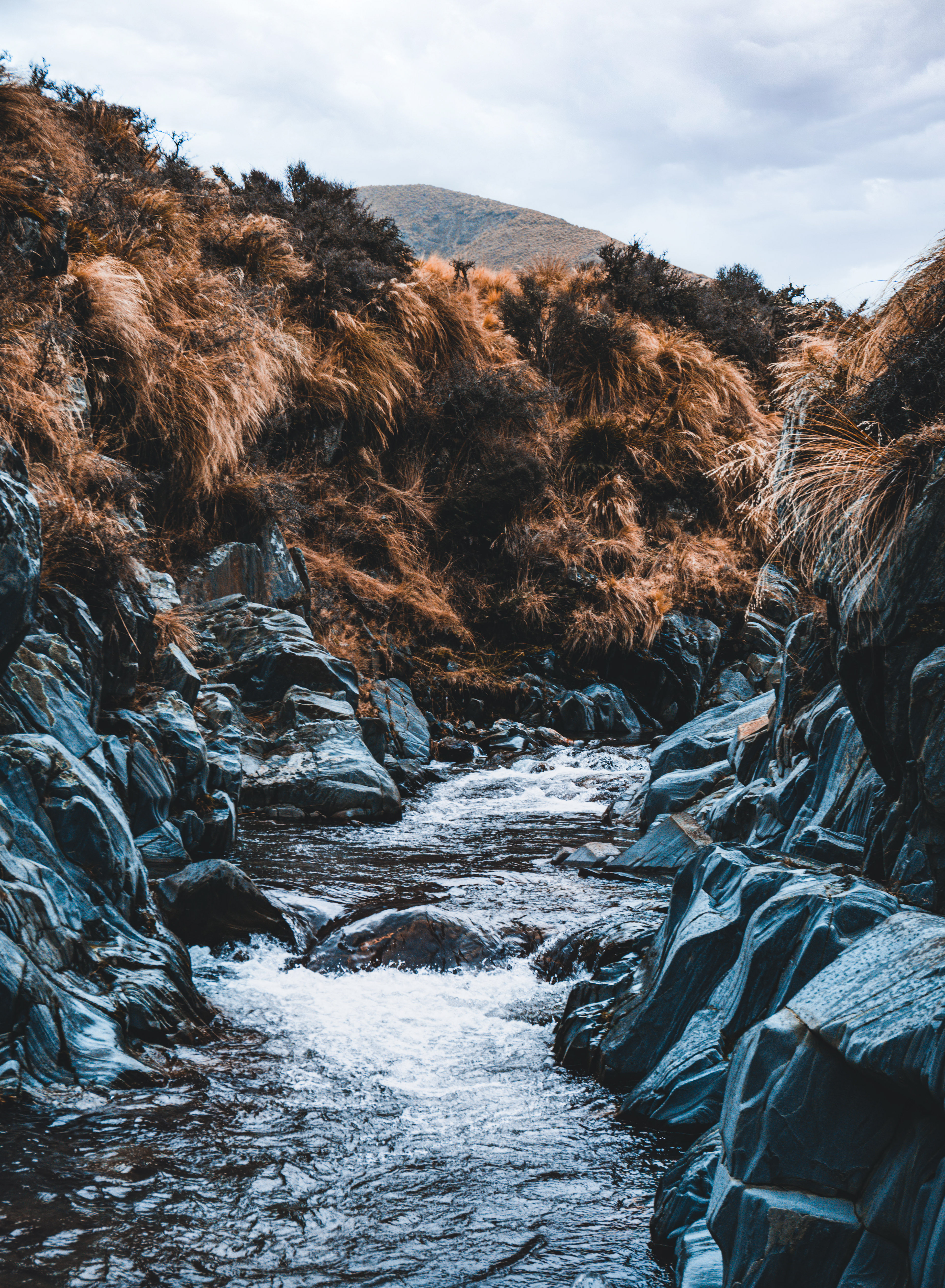 Kye Burn, Oteake Conservation Reserve