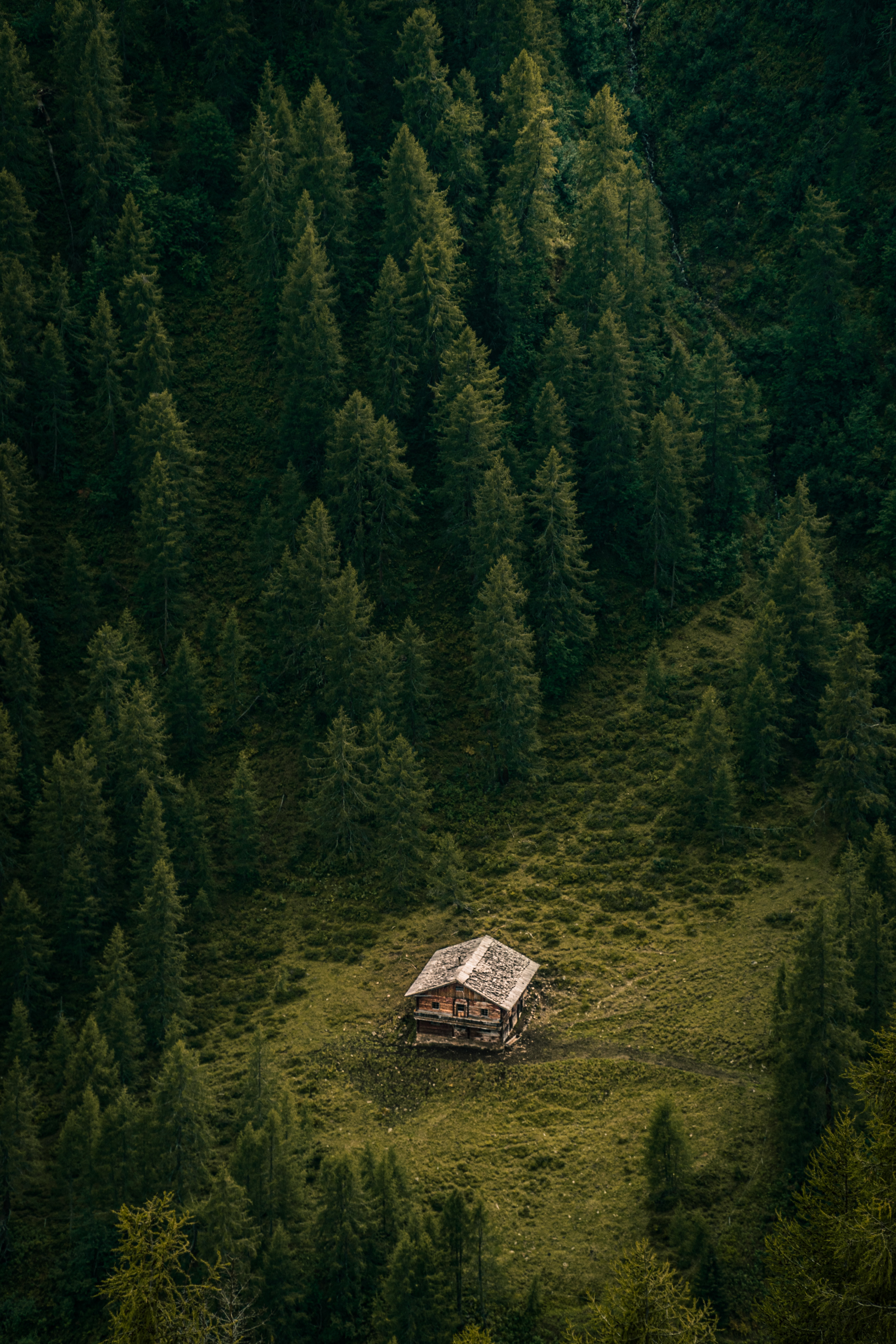 Alfenalm, Kalkstein, Innervillgraten