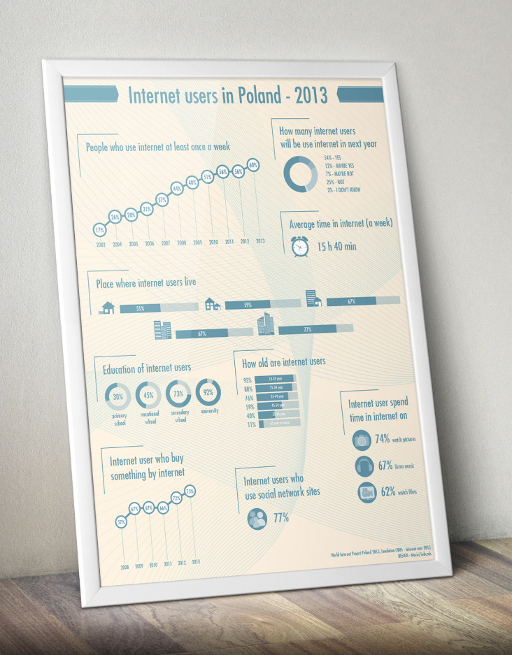 Infografika dotycząca profilu polskiego internauty