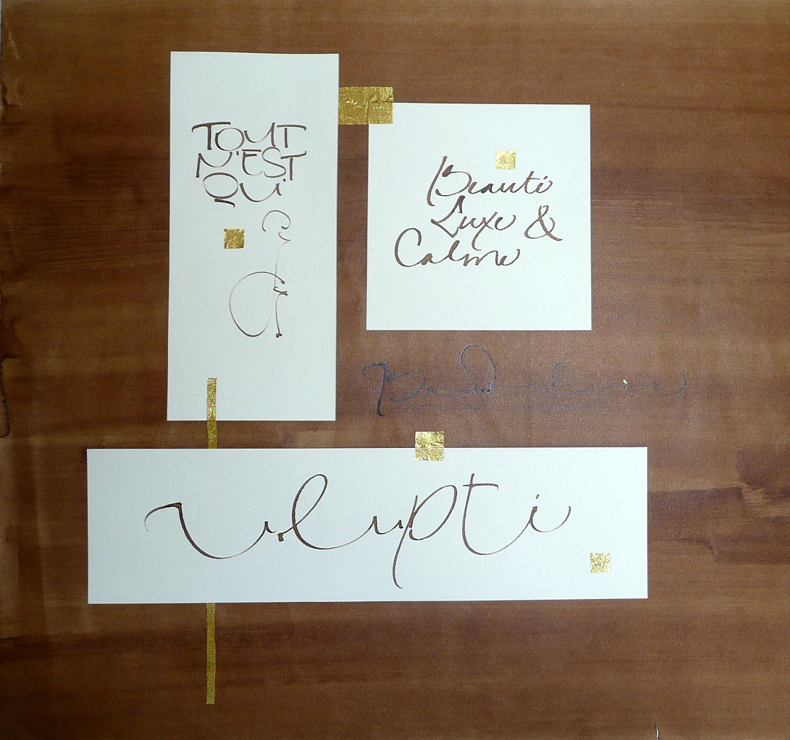 Plume de bronze - "Tout n'est qu'ordre et beauté / Luxe, calme et volupté" Baudelaire (2012)