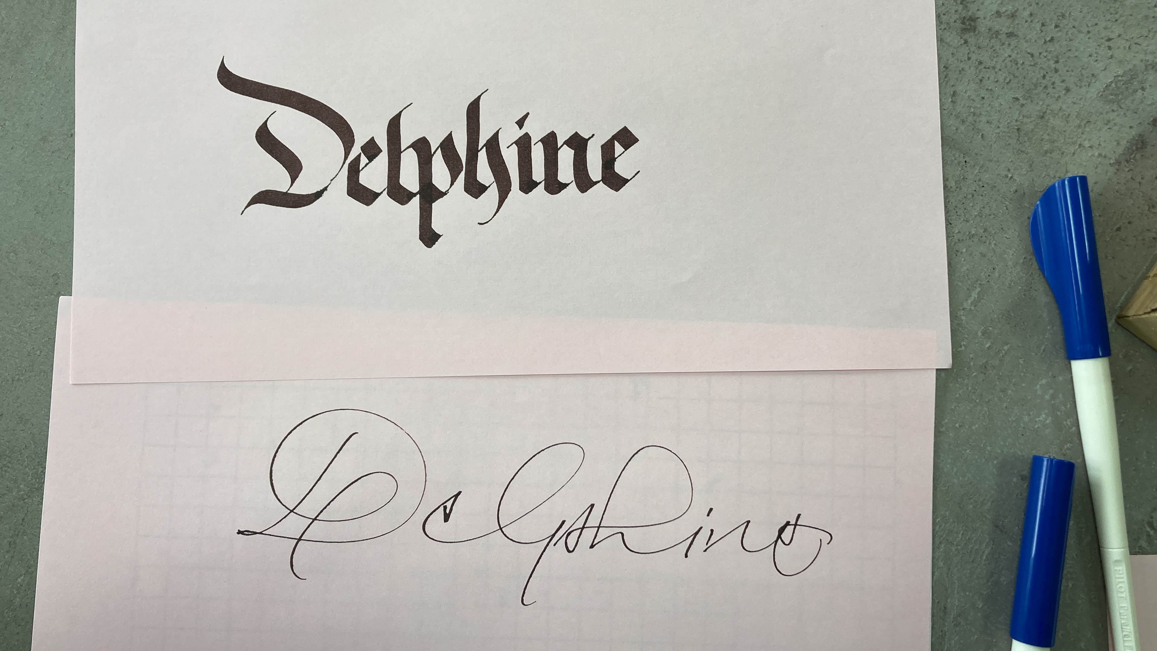 Parallel pen - Delphine (2023)