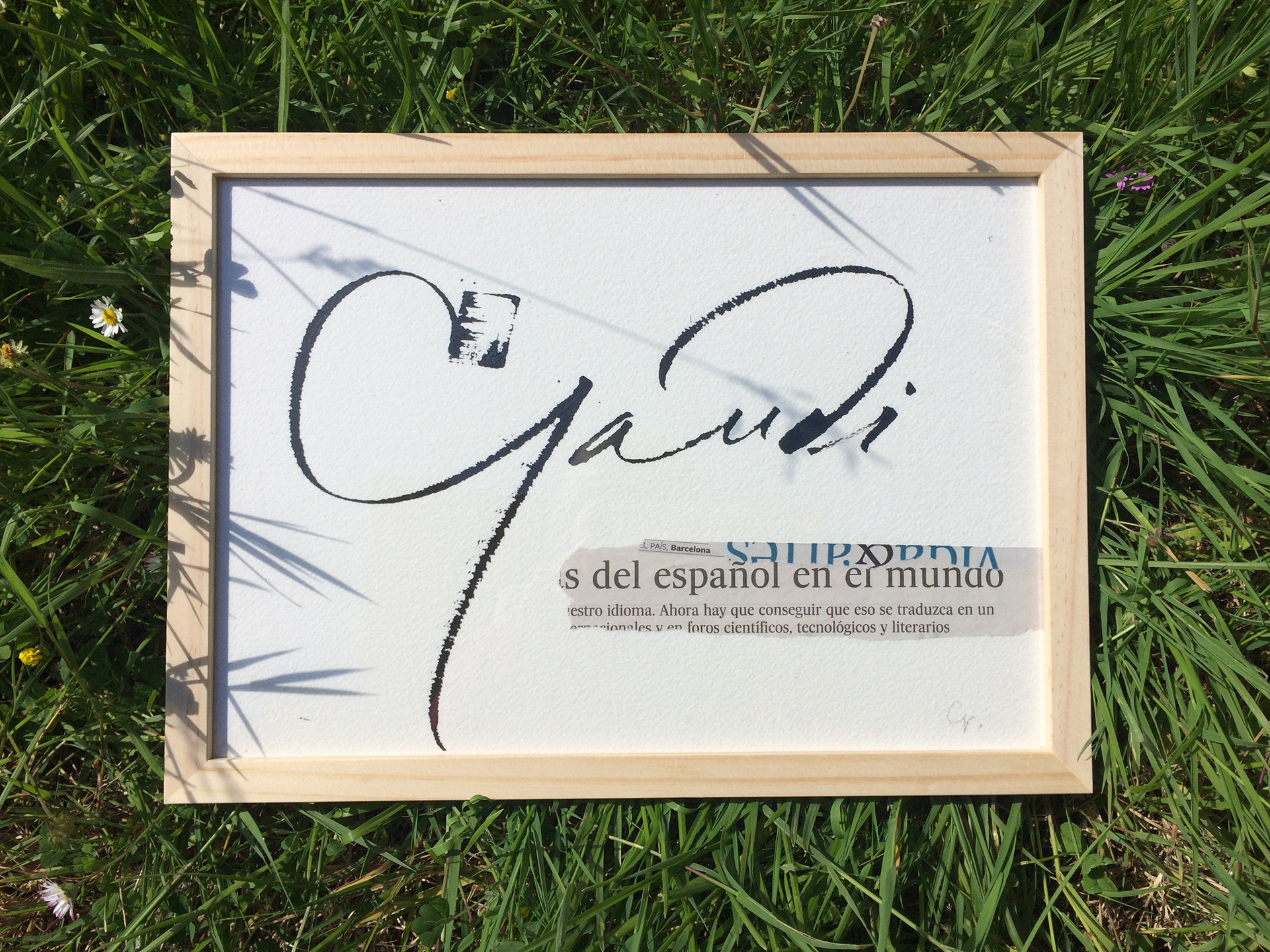 Tire-ligne & automatic pen - Gaudi (2011)