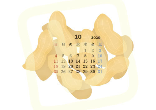 2020年10月カレンダー「落花生」季節の野菜シリーズ A4・横〔JPG／PNG／WORD〕