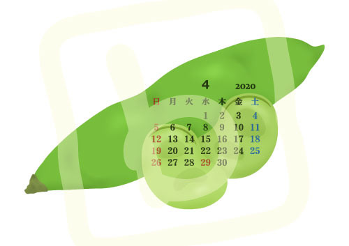 2020年4月カレンダー「空豆」季節の野菜シリーズ A4・横〔JPG／PNG／WORD〕