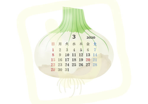 2020年3月カレンダー「新玉葱」季節の野菜シリーズ A4・横〔JPG／PNG／WORD〕