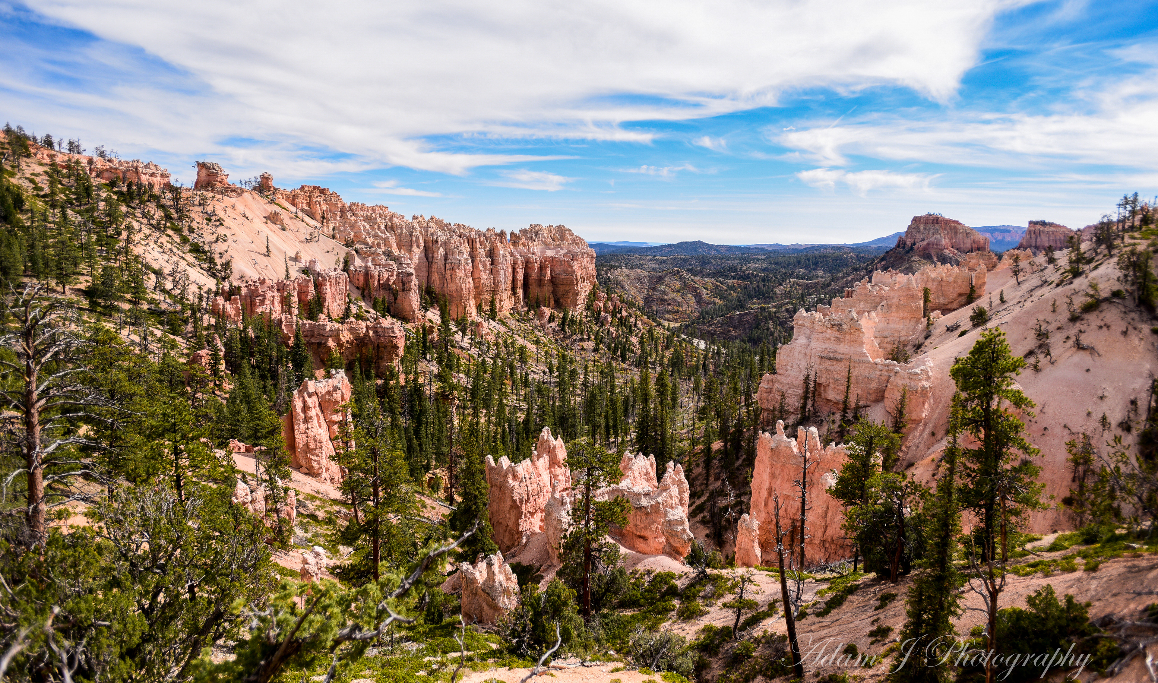 Swamp Canyon Overlook
