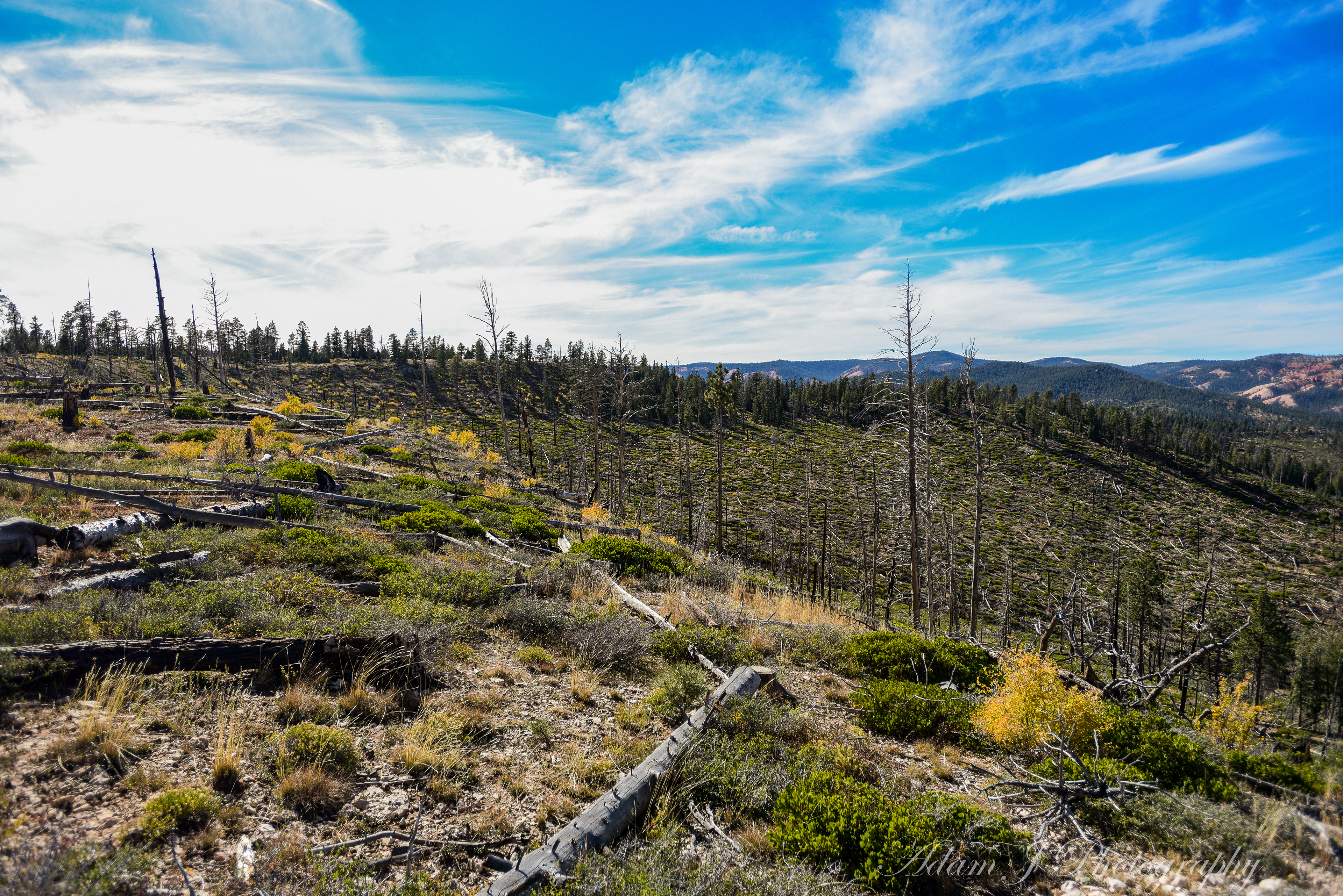 Whiteman Bench Picnic Area