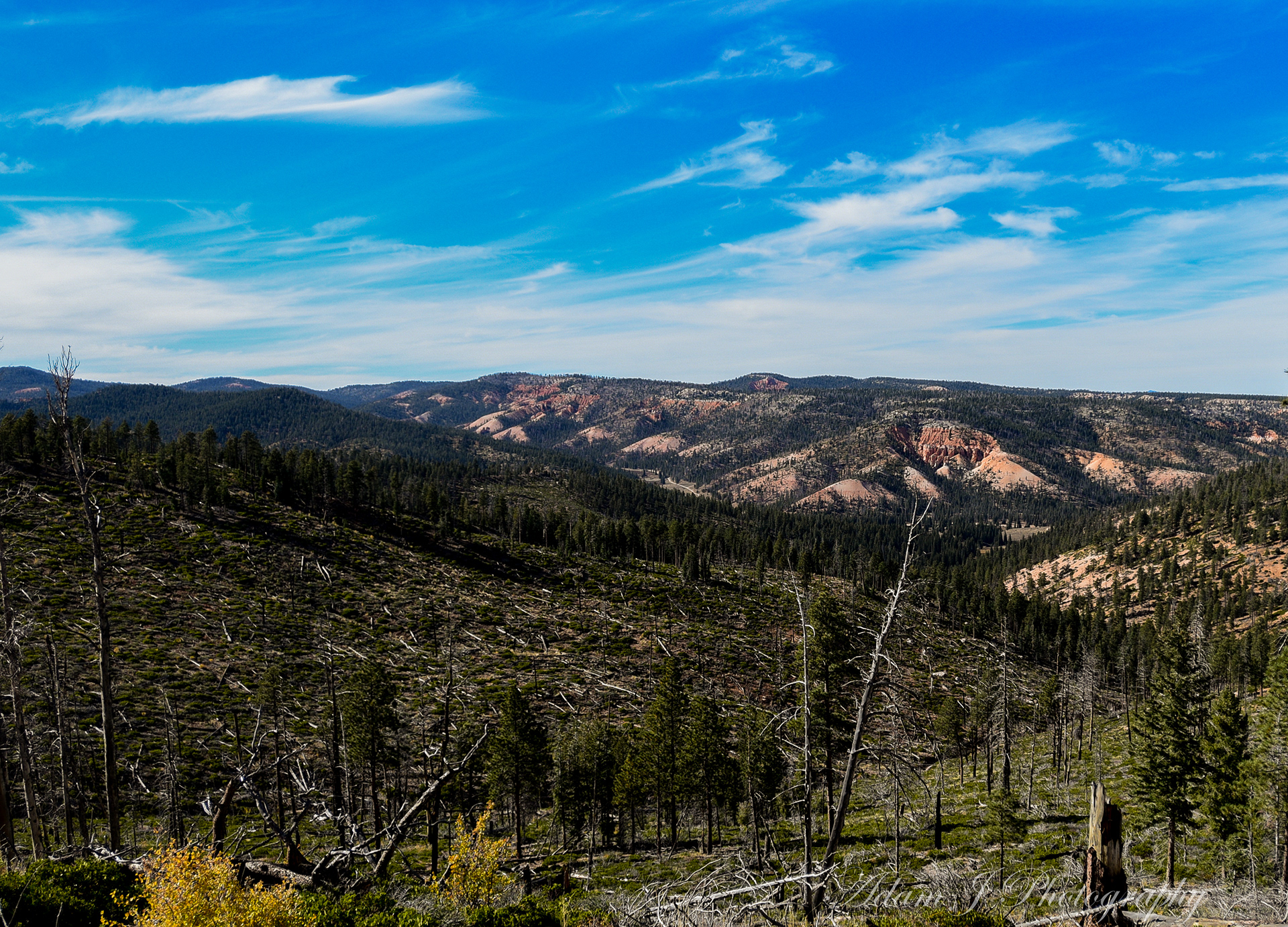 Whiteman Bench Picnic Area
