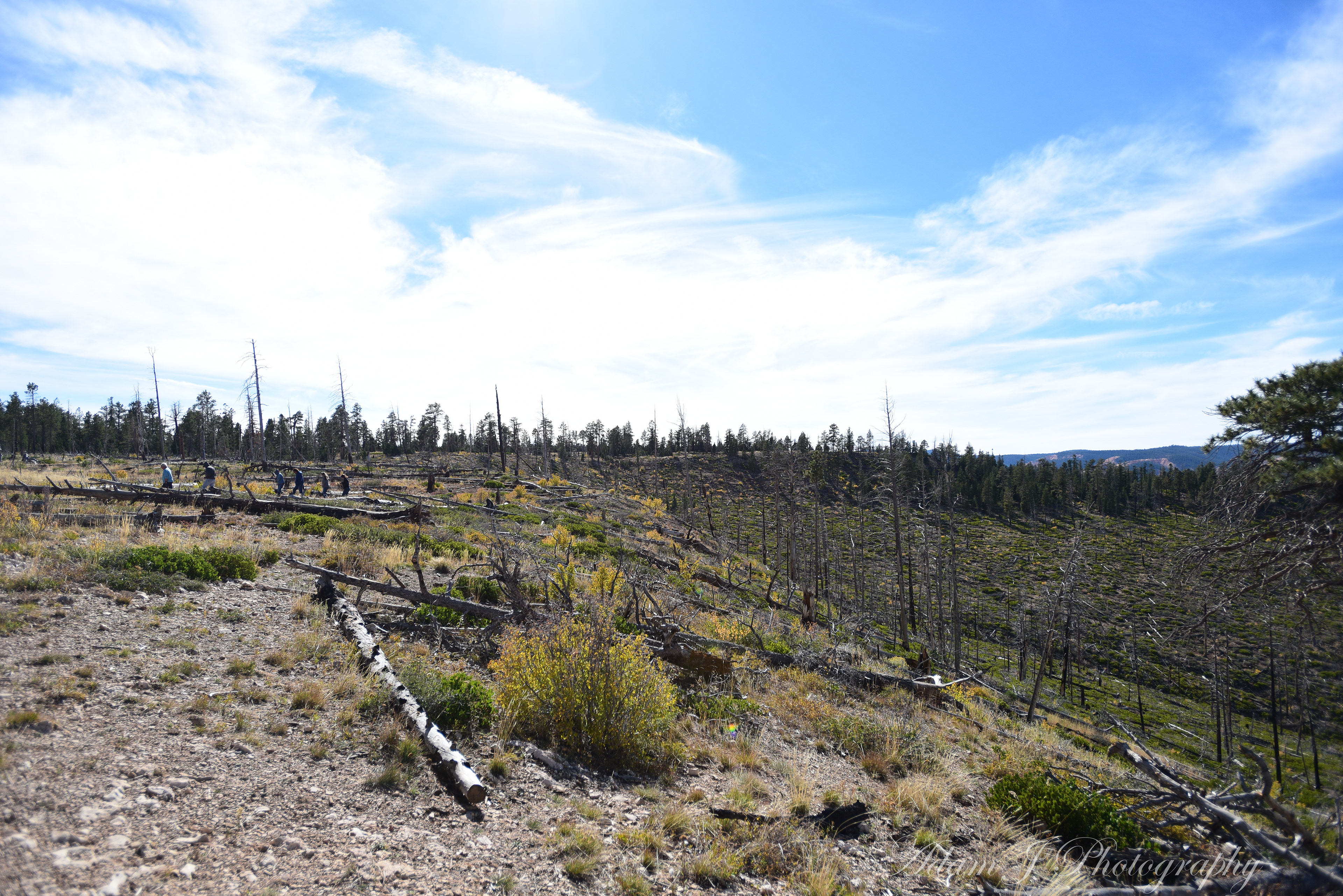 Whiteman Bench Picnic Area
