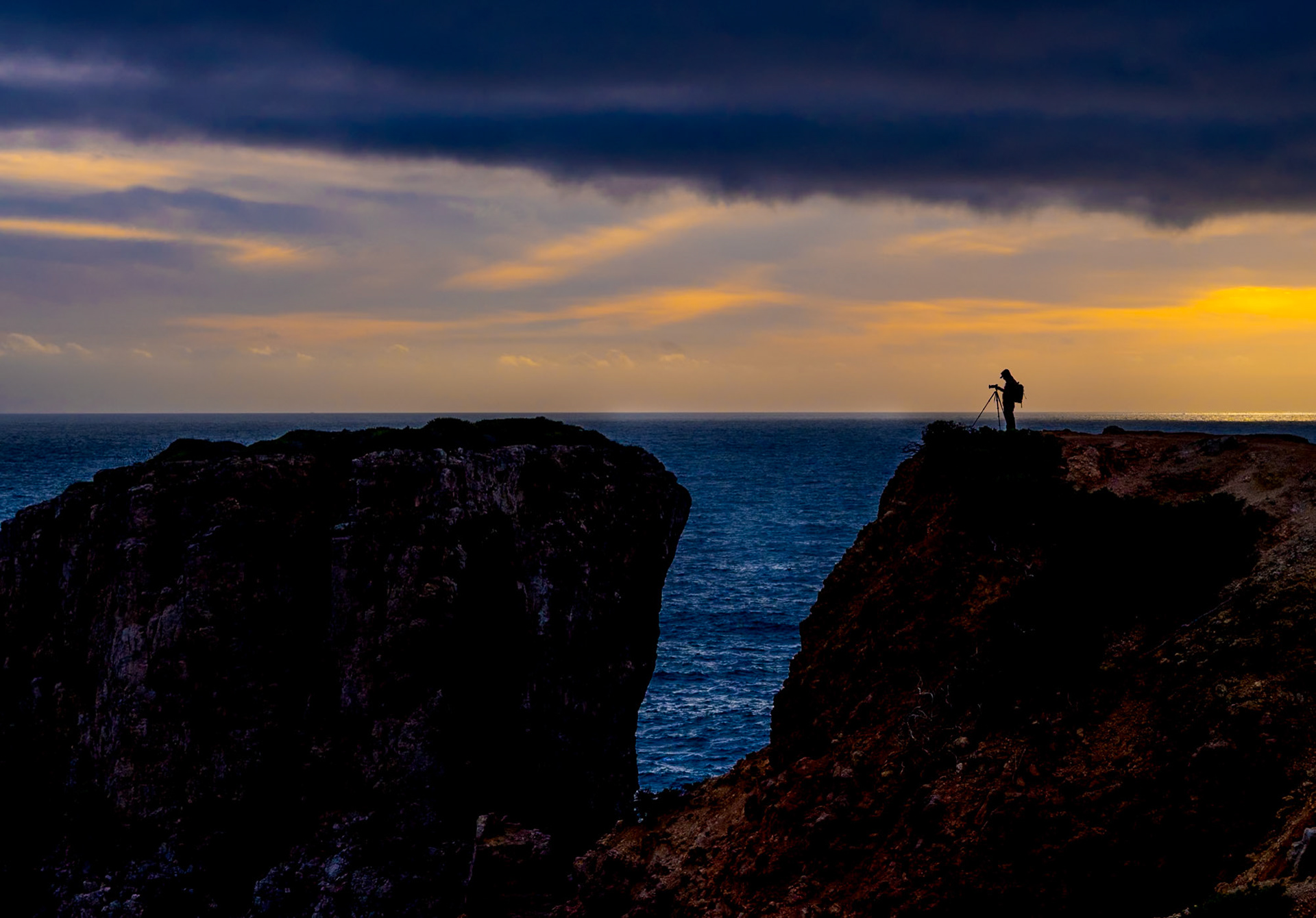 Fearless Photographer