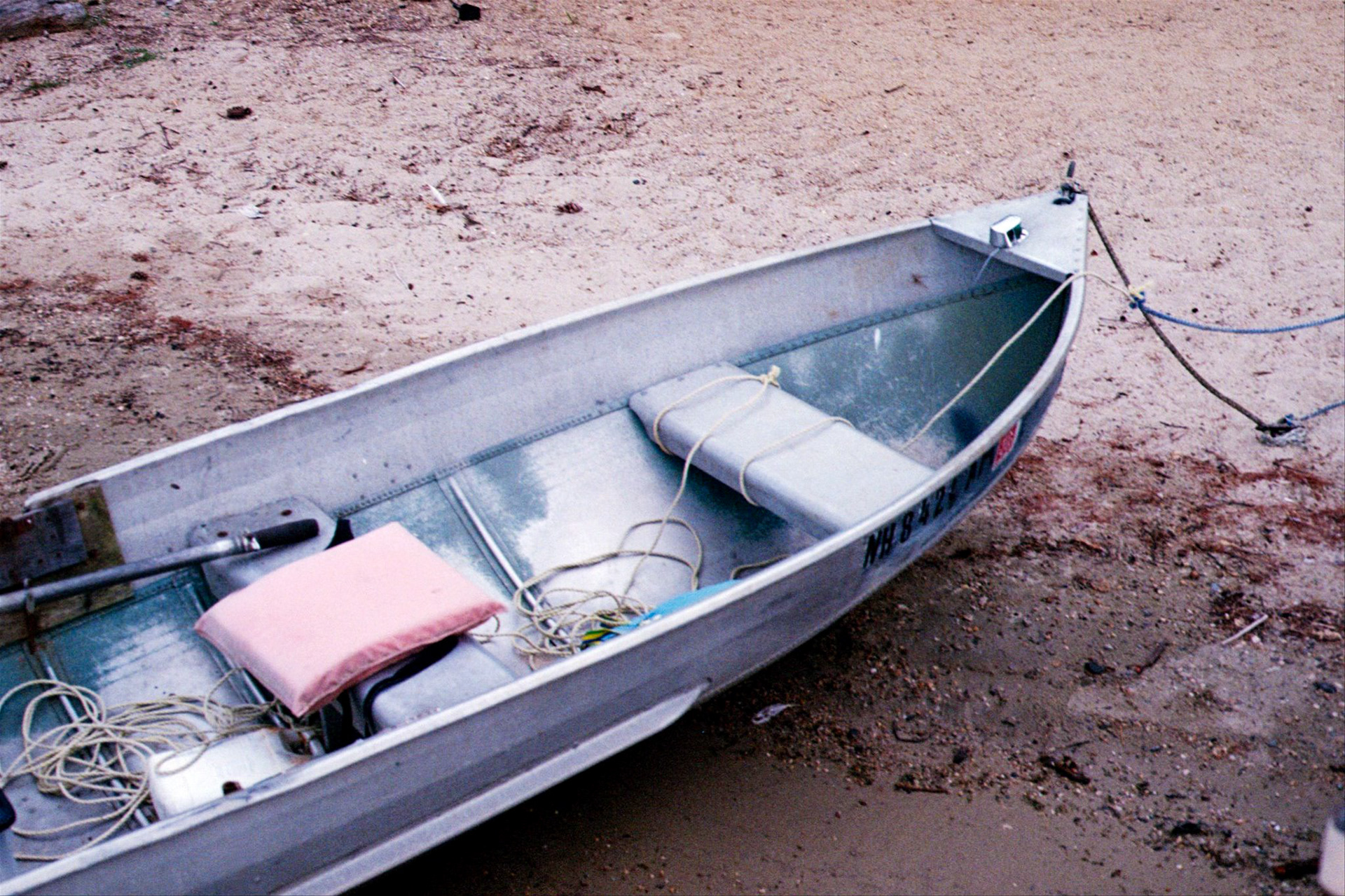 2024 - Shot on Canon AE-1 Program, Photograph by Livv Welch