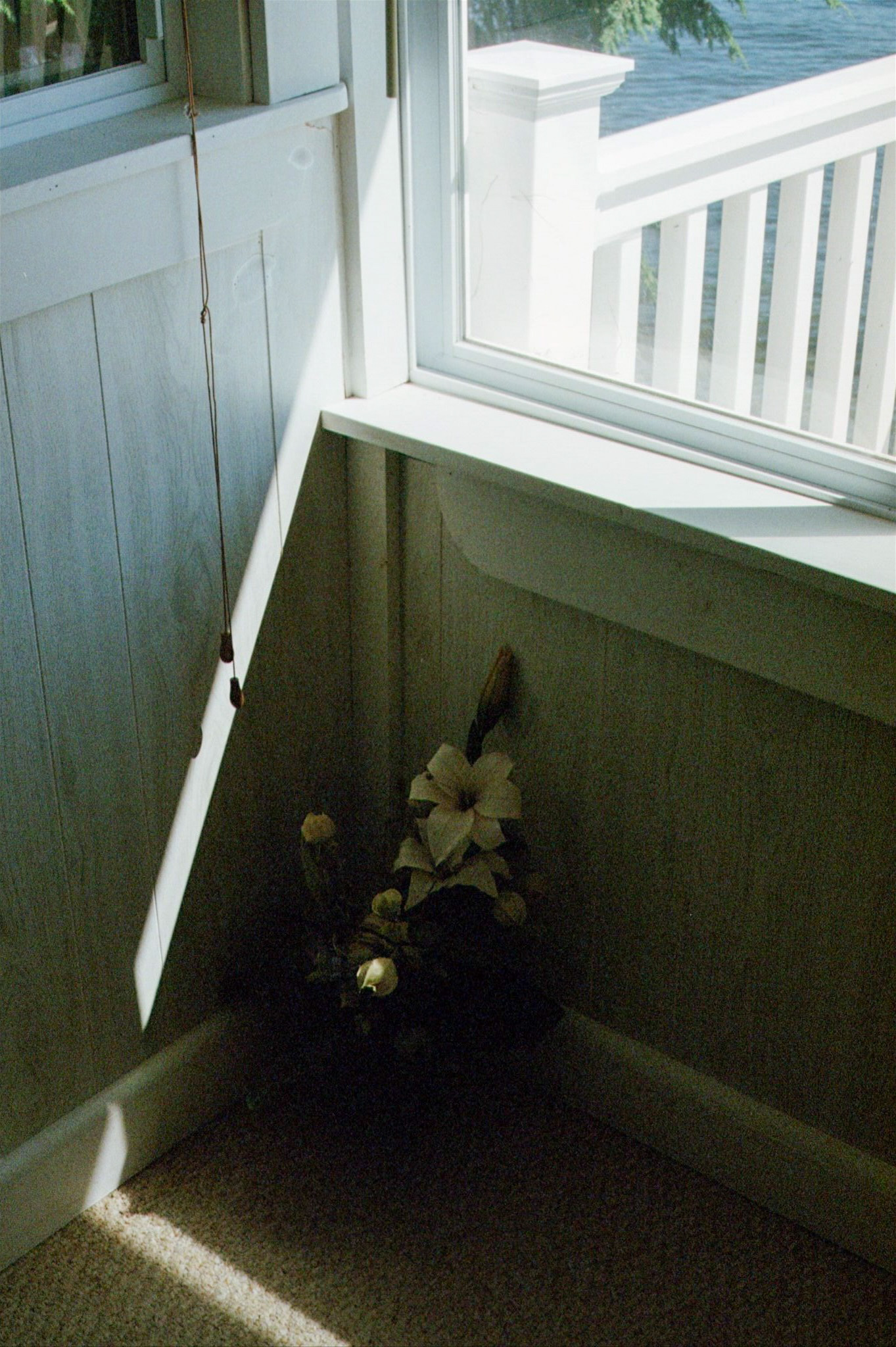 2024 - Shot on Canon AE-1 Program, Photograph by Livv Welch