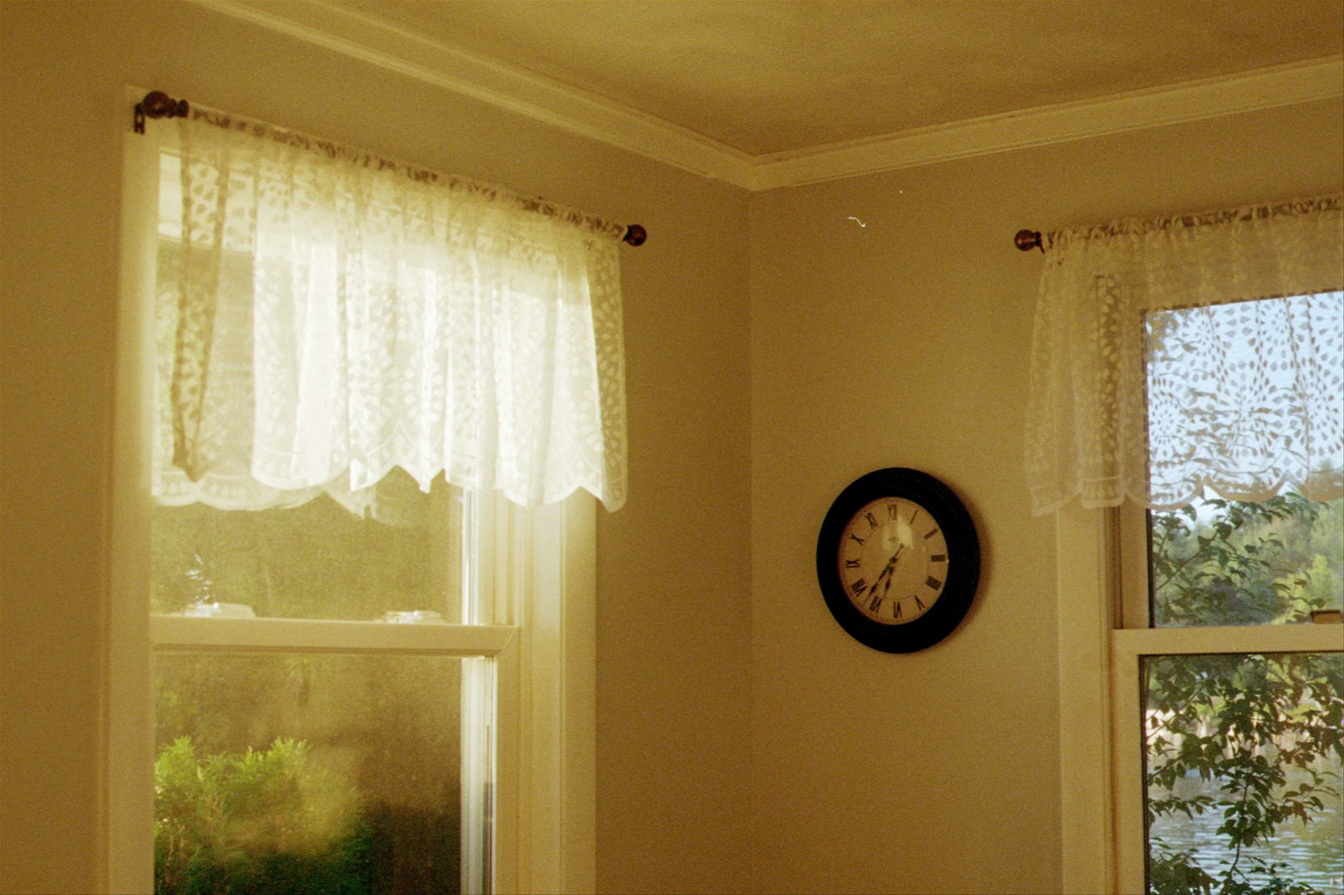 2024 - Shot on Canon AE-1 Program, Photograph by Livv Welch