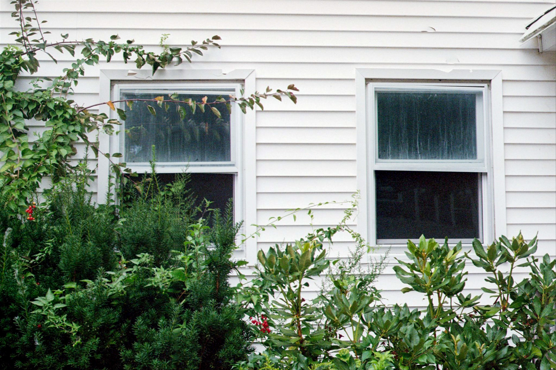 2024 - Shot on Canon AE-1 Program, Photograph by Livv Welch