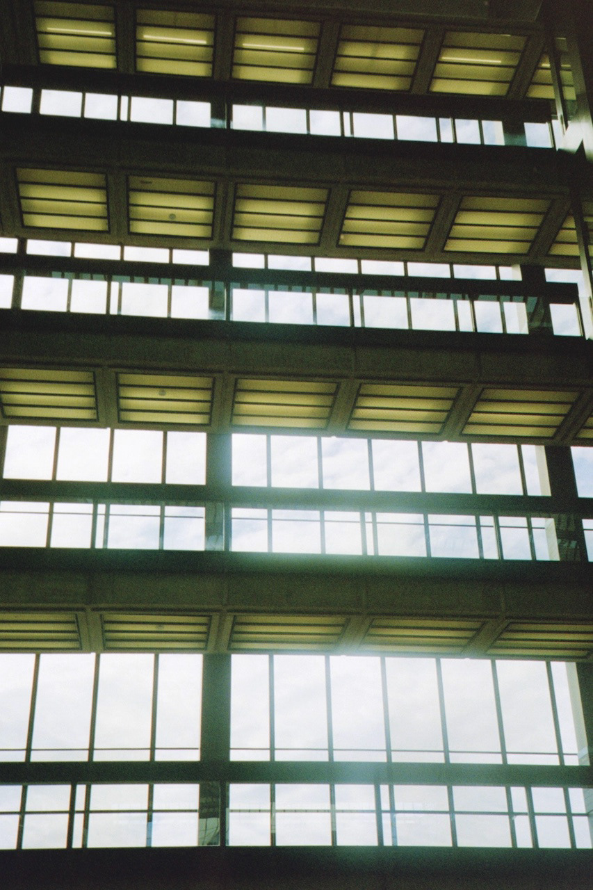 2024 - Shot on Canon Sure Shot 65 Zoom, Photograph by Livv Welch