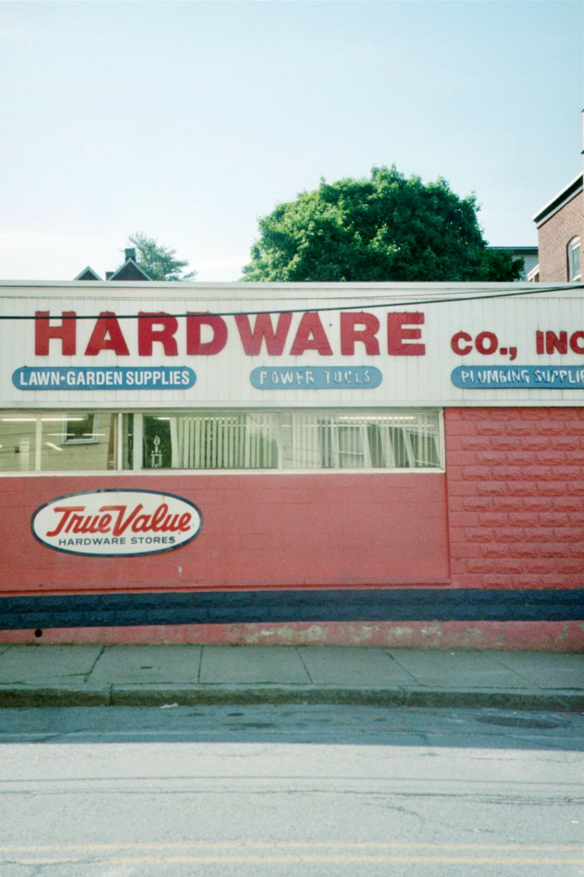 2024 - Shot on Canon Sure Shot 65 Zoom, Photograph by Livv Welch