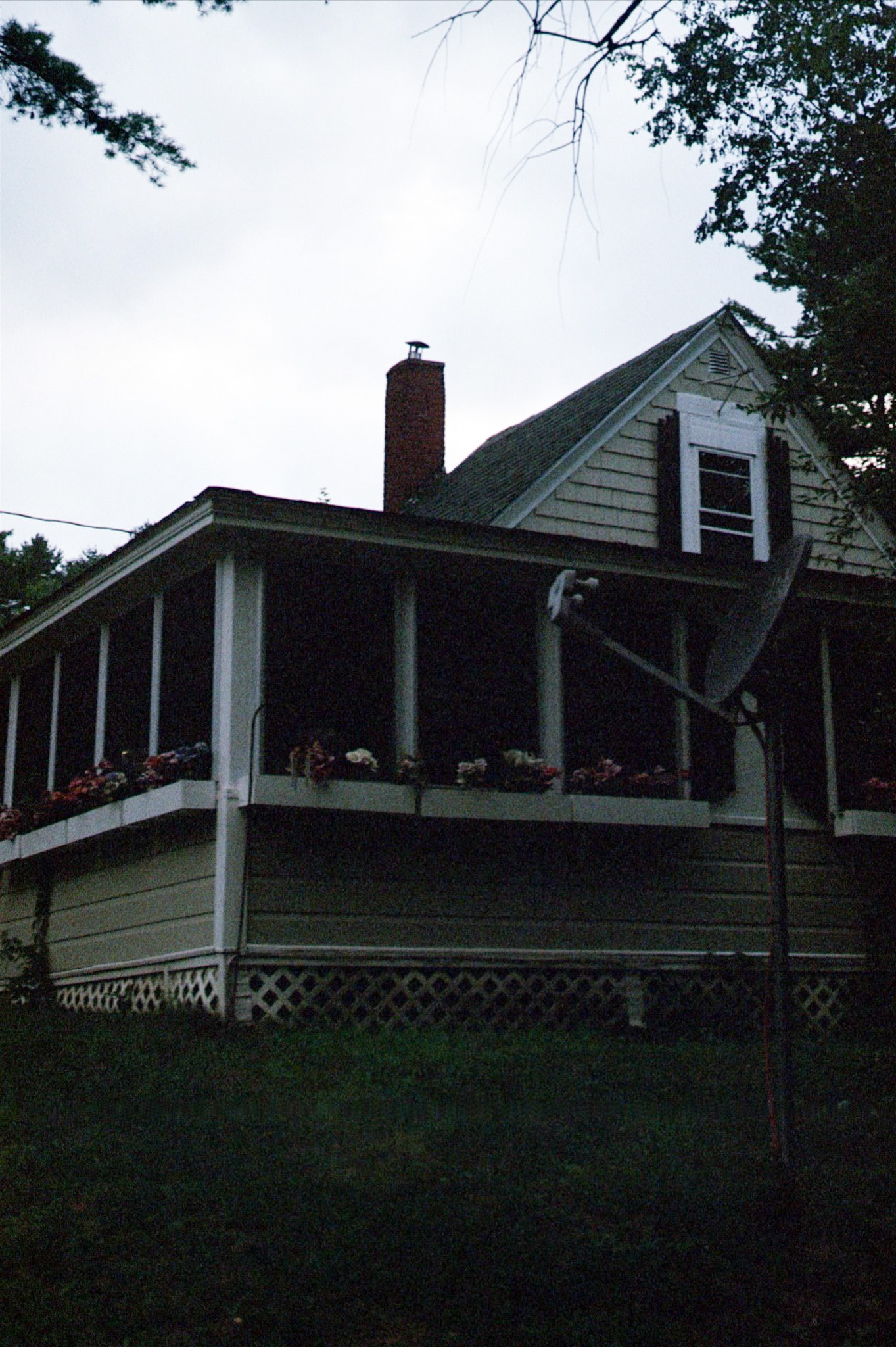2024 - Shot on Canon AE-1 Program, Photograph by Livv Welch