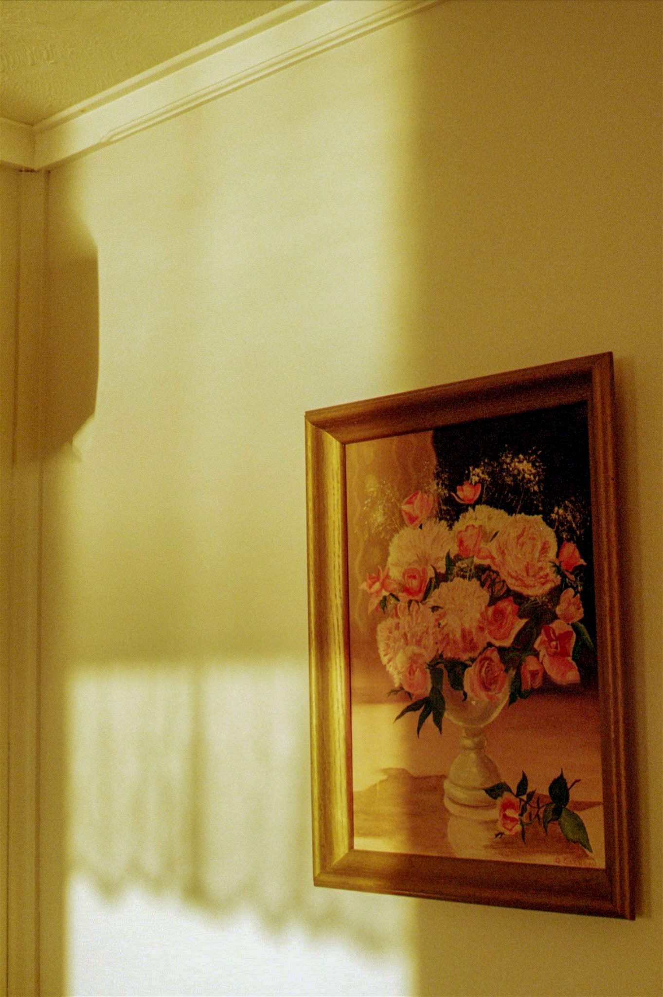 2024 - Shot on Canon AE-1 Program, Photograph by Livv Welch