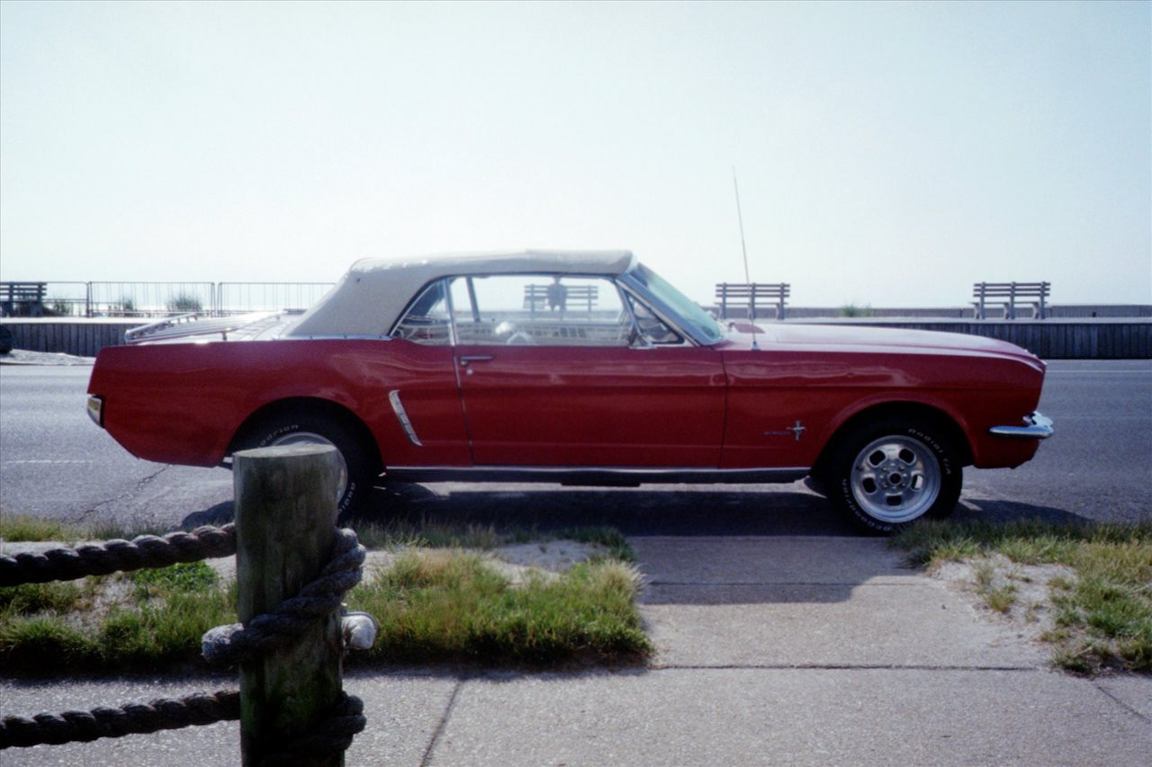 Photograph by Livv Welch