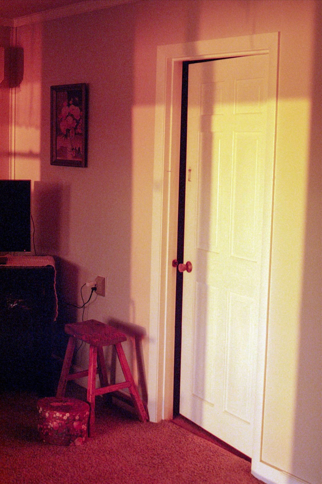 2024 - Shot on Canon AE-1 Program, Photograph by Livv Welch