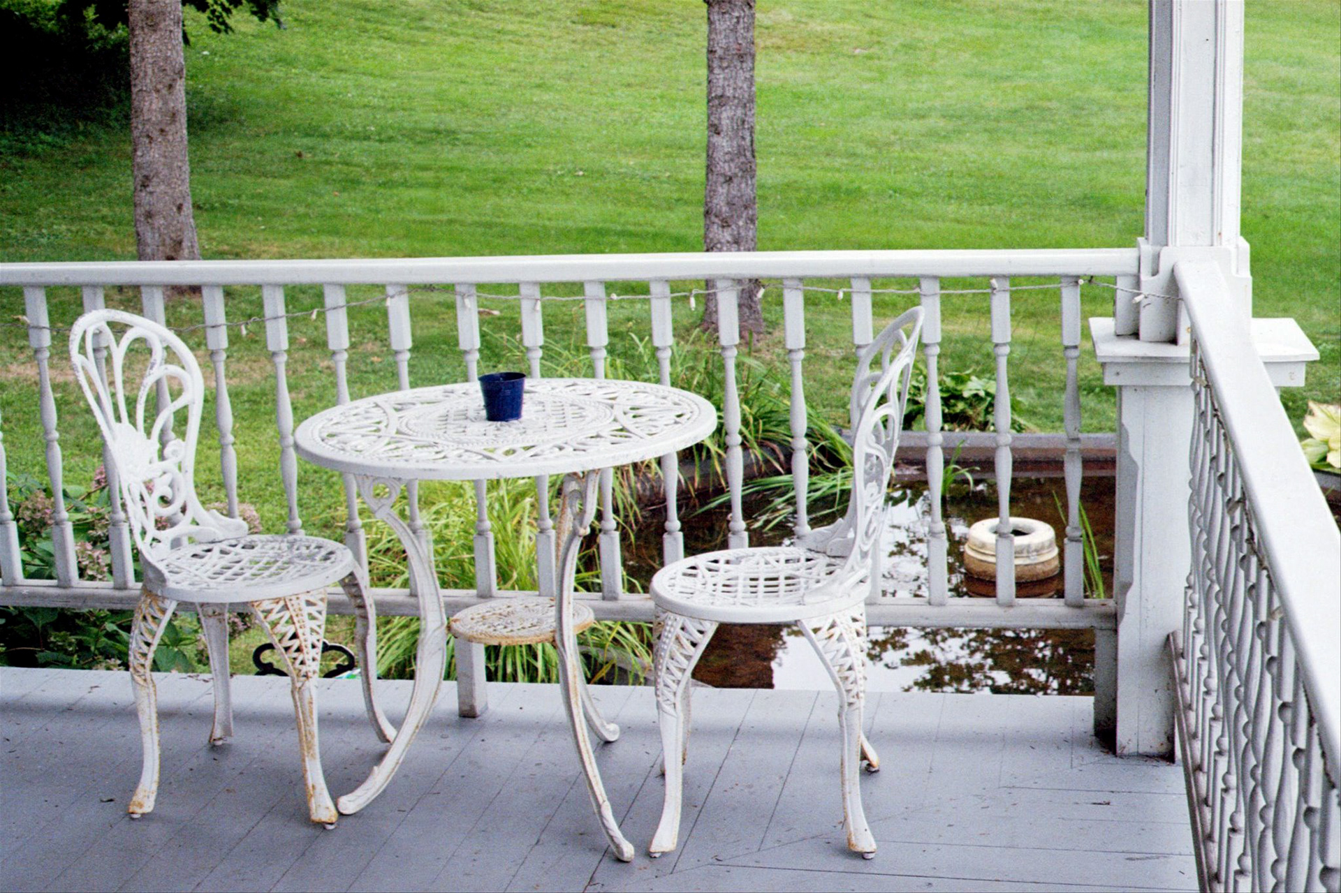 2024 - Shot on Canon AE-1 Program, Photograph by Livv Welch