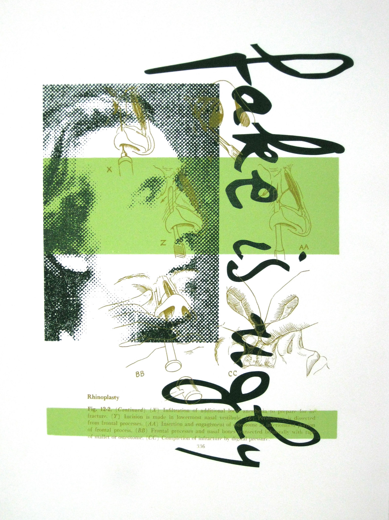 Fake Is Ugly #2; Screenprint; 20 x 15 inches; ©2005