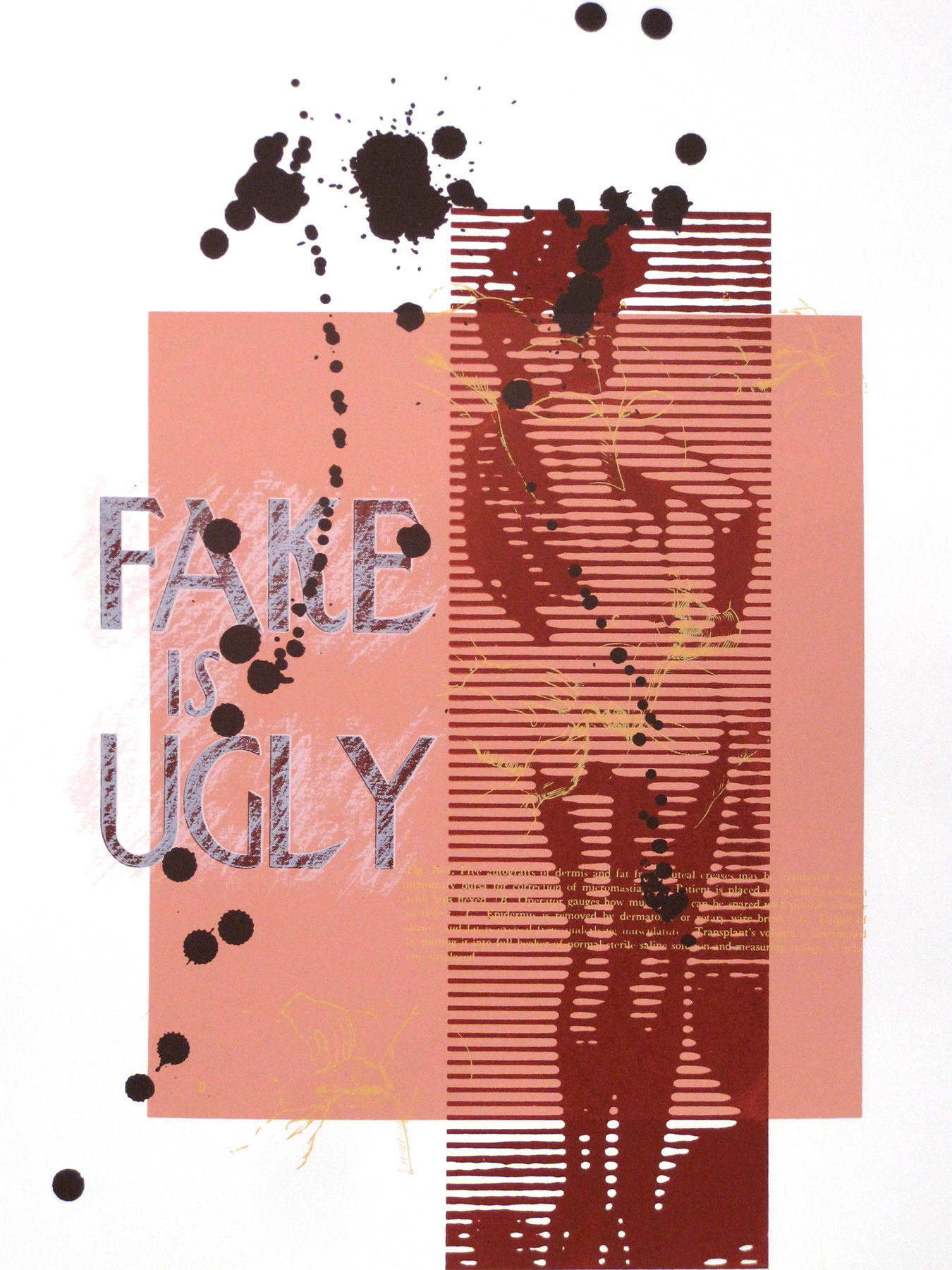 Fake Is Ugly #3; Screenprint; 20 x 15 inches; ©2005