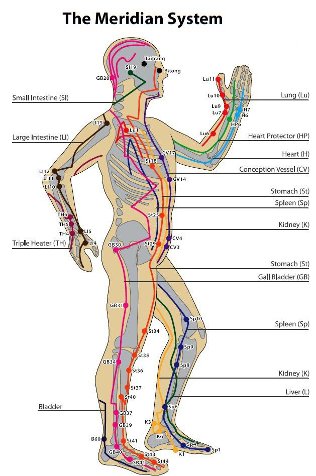 Channel System also known as the Meridian System