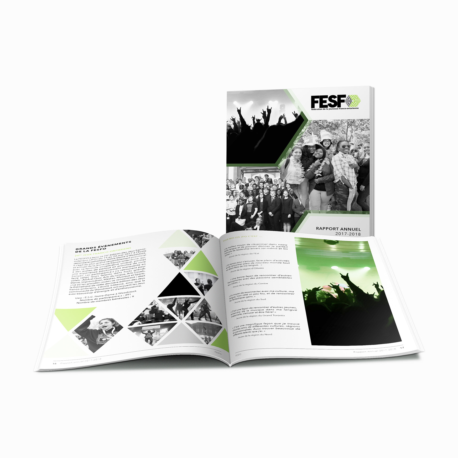 FESFO annual report cover and layout design.