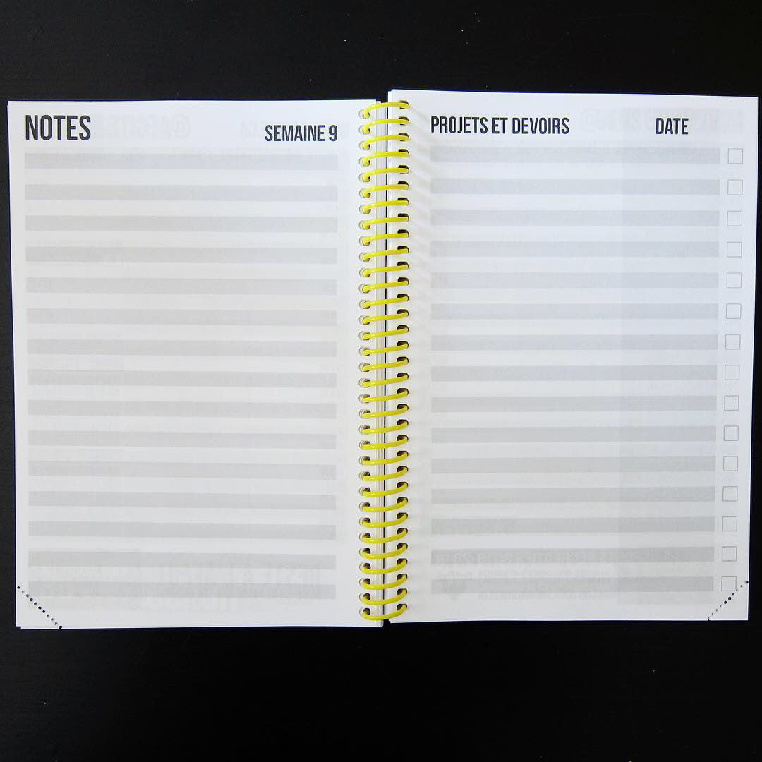 Notes and homework spread following weekly spread.