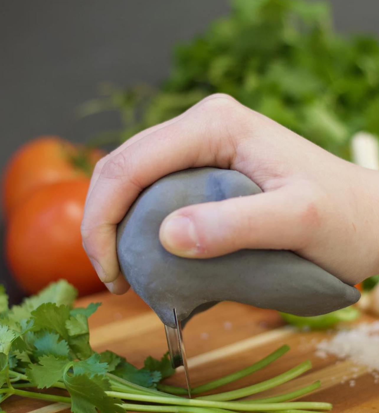 Functional model of chopping tool (2)