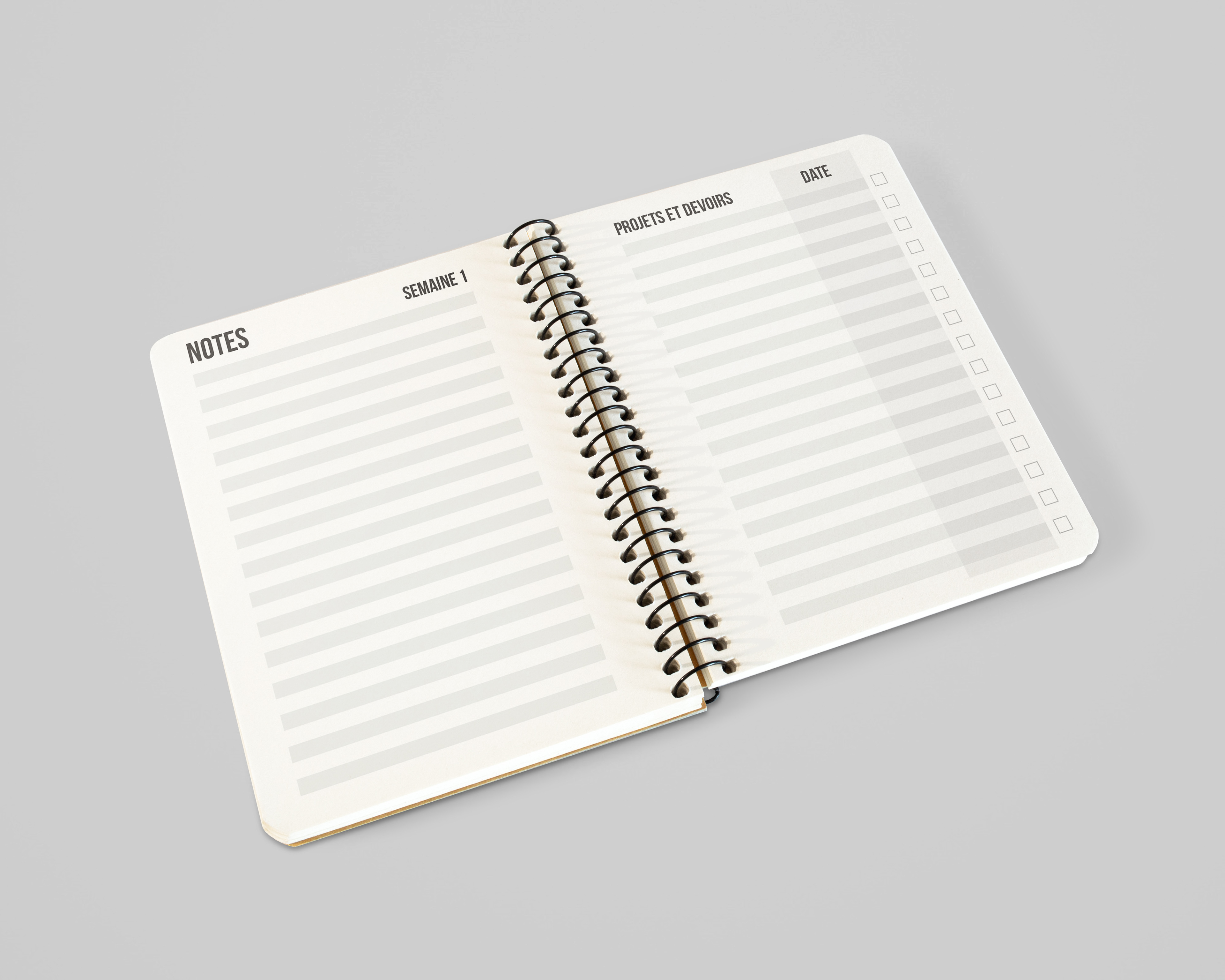 Sample notes and homework spread following each weekly spread.