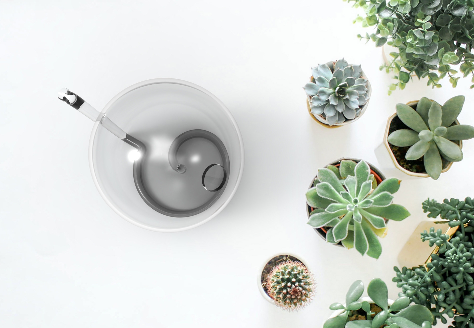 Top view render of glass watering can beside a variety of succulents on a white table.