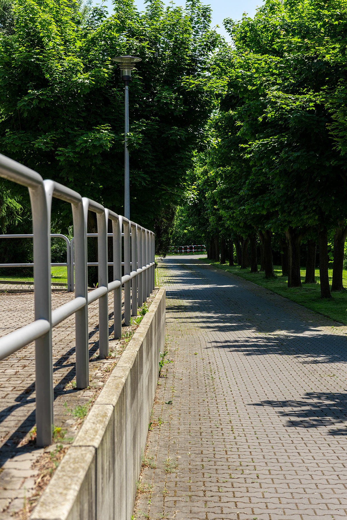 Fotomotiva SKwP aleja w dzień
