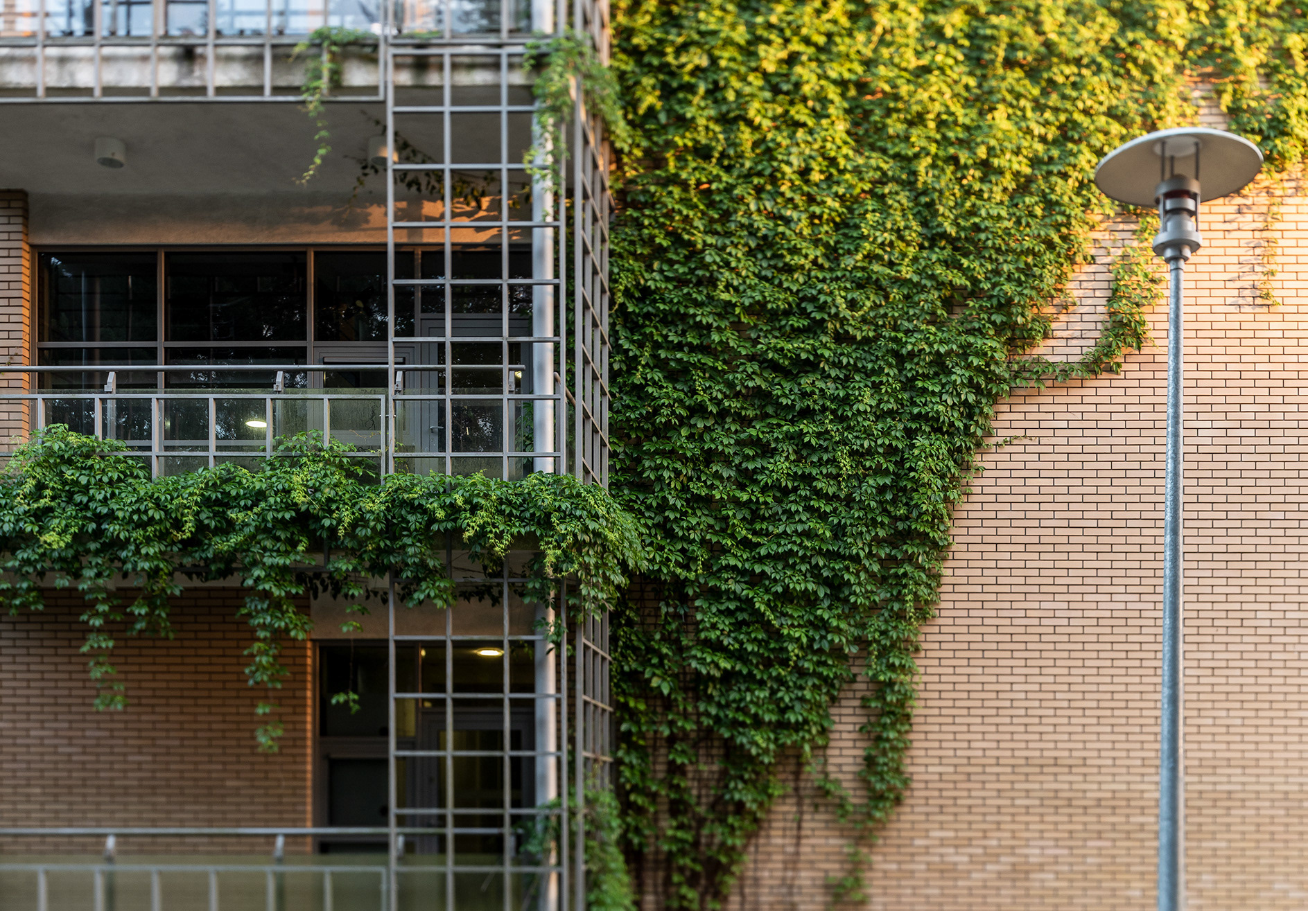 Fotomotiva wydział biologii UAM Kampus Morasko Poznań faculty of biology AMU Campus Morasko Poznan 3