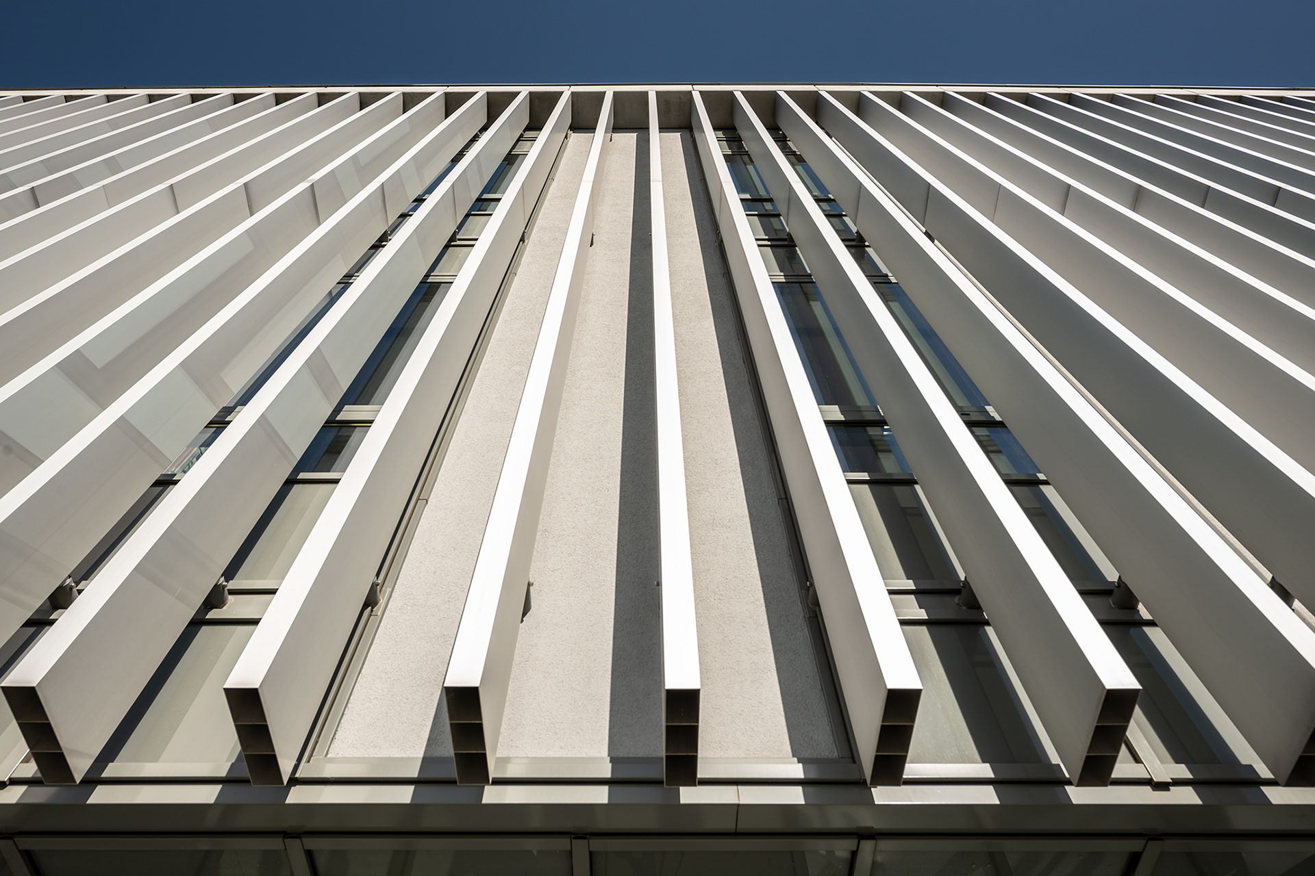 Fotomotiva wydział historii UAM Kampus Morasko Poznań faculty of historical AMU Campus Morasko Poznan 6