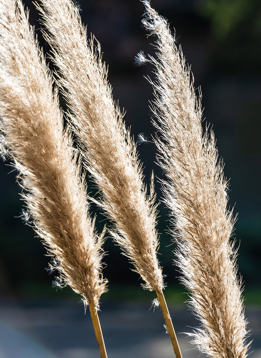 Fotomotiva Weranda Home rezydencja Sławica residence 6